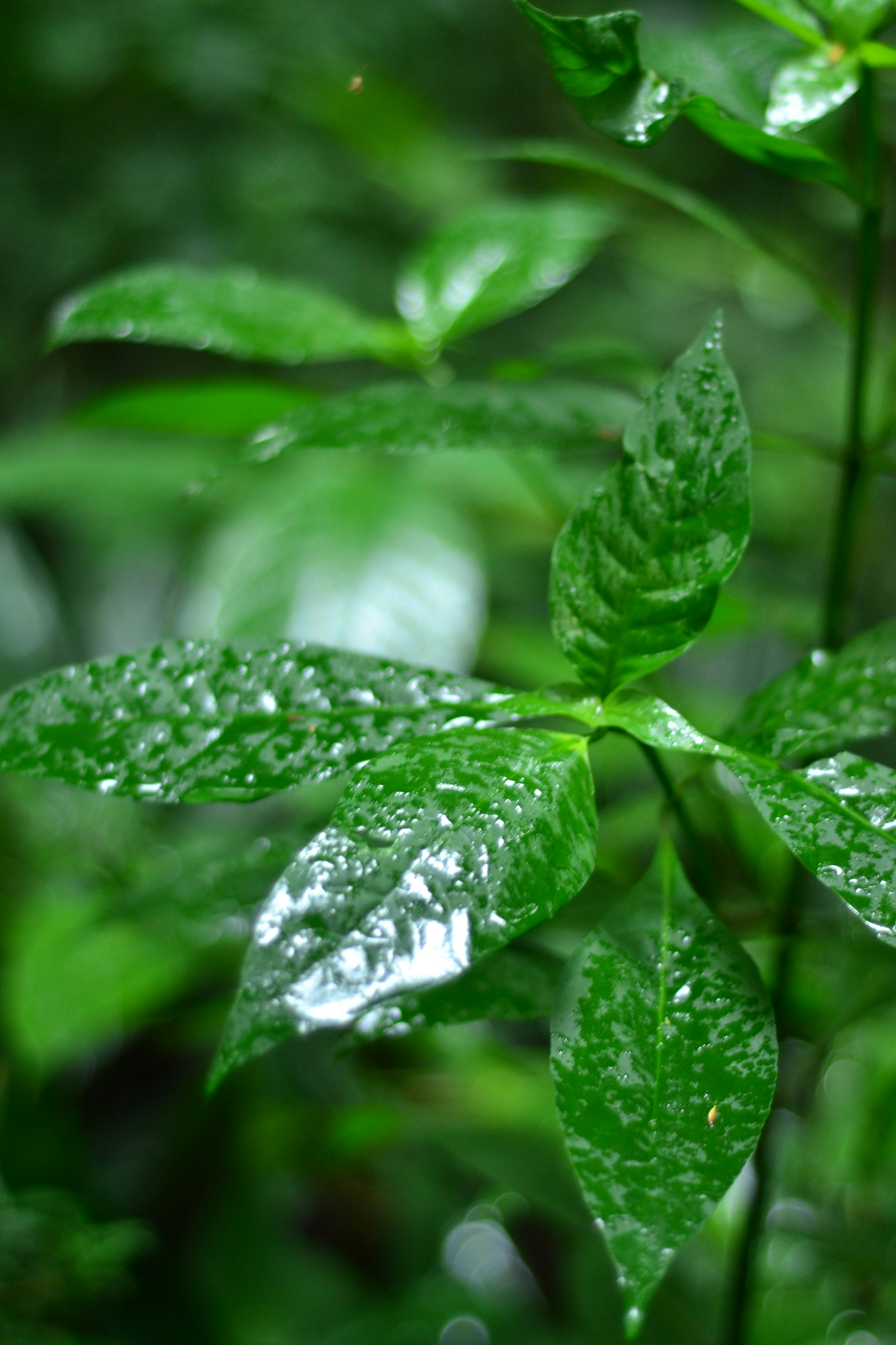 Photo by agustin_pimentel