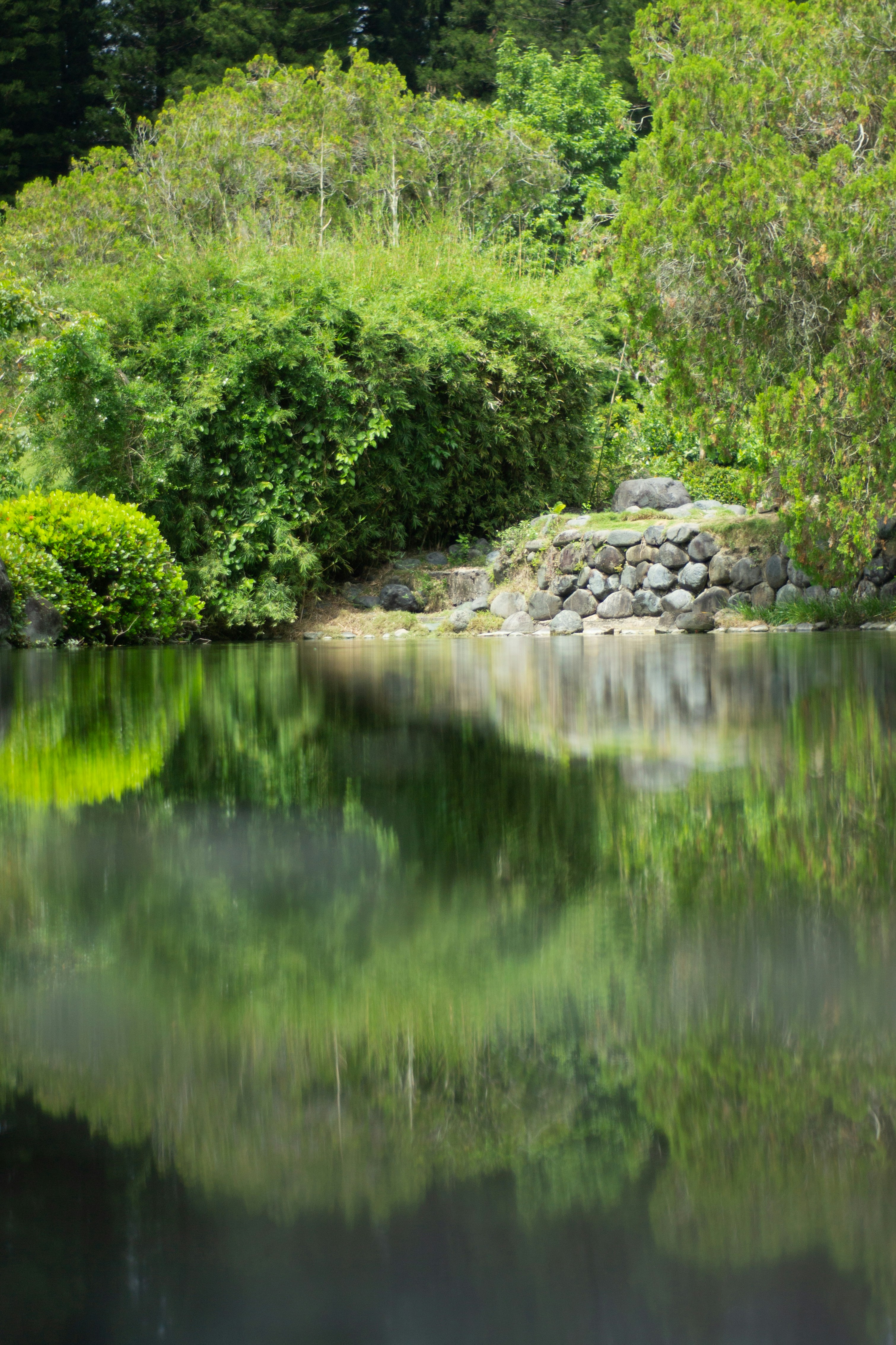 Photo by agustin_pimentel