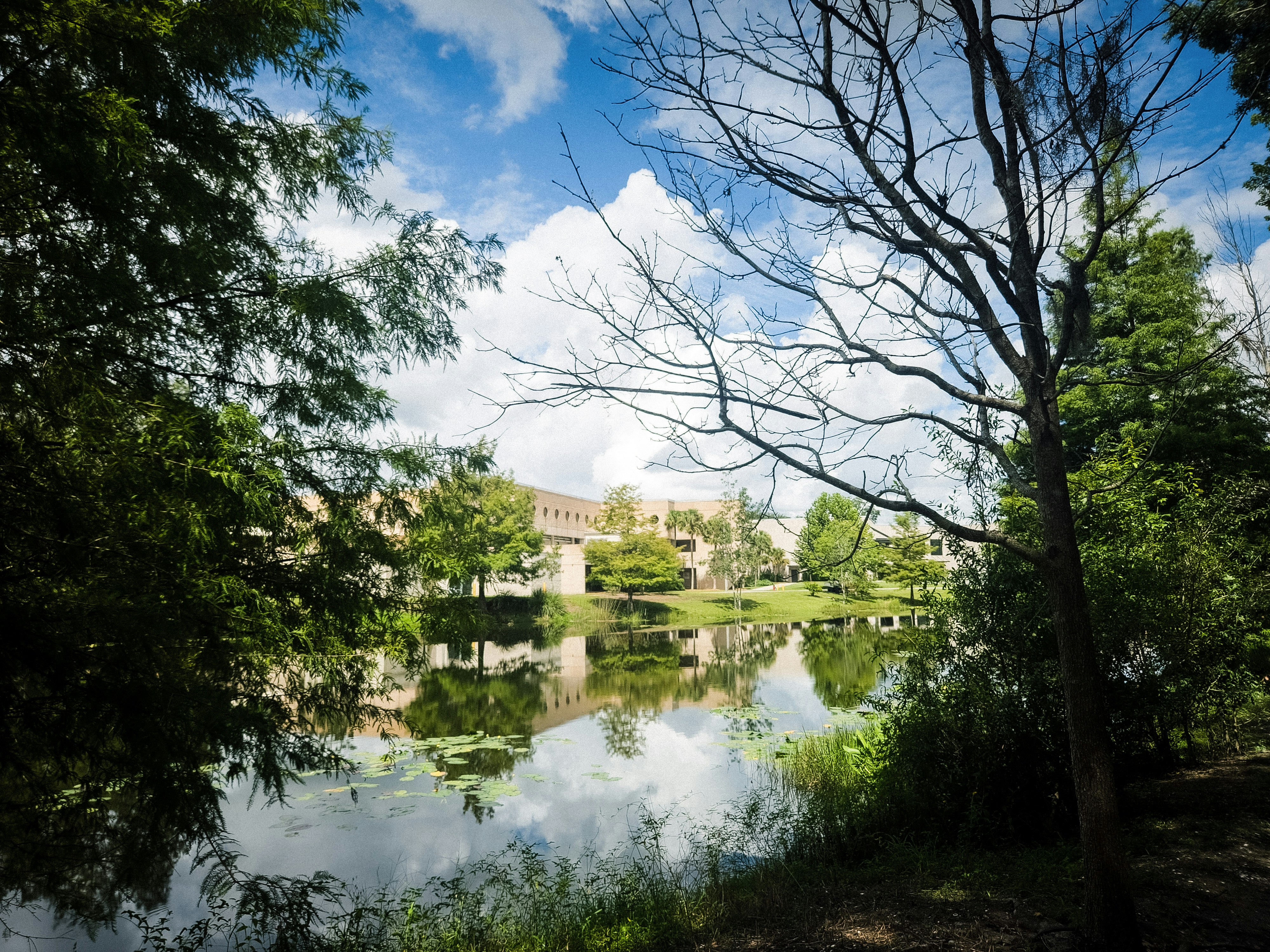 Buildings reflected in a calm lake surrounded by trees