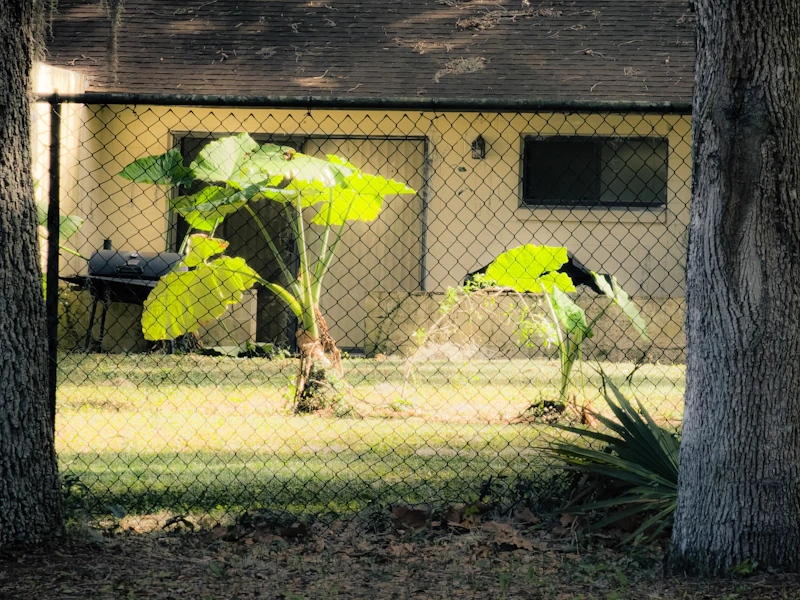 Residential Chain Link Fence