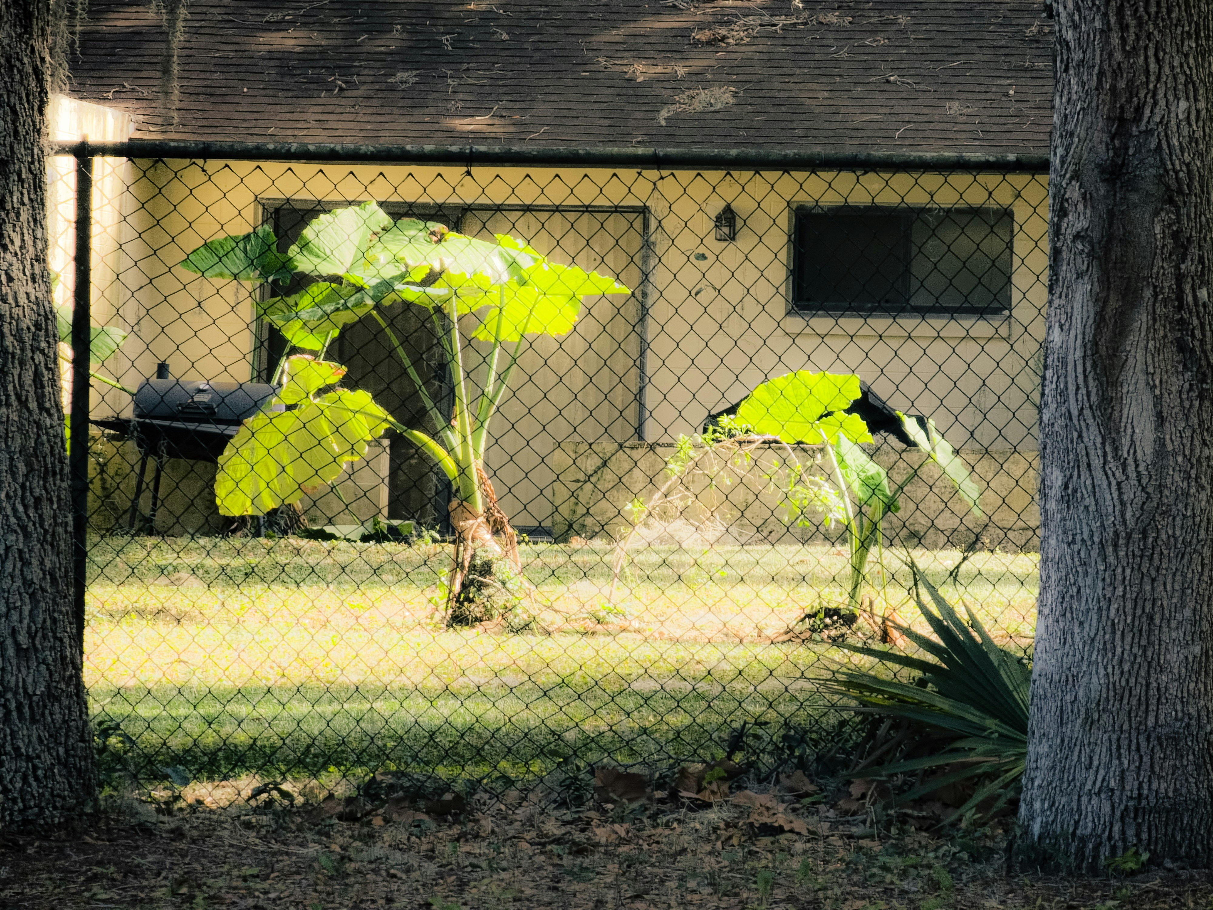 https://images.unsplash.com/photo-1770825039111-2b720ab6773a?ixid=M3w2MjYzNjJ8MHwxfHNlYXJjaHw2fHxHcmlsbCUyMCUyNiUyMENoaWxsfGVufDB8MHx8fDE3Nzk5ODg4MzV8MA&ixlib=rb-4.1.0