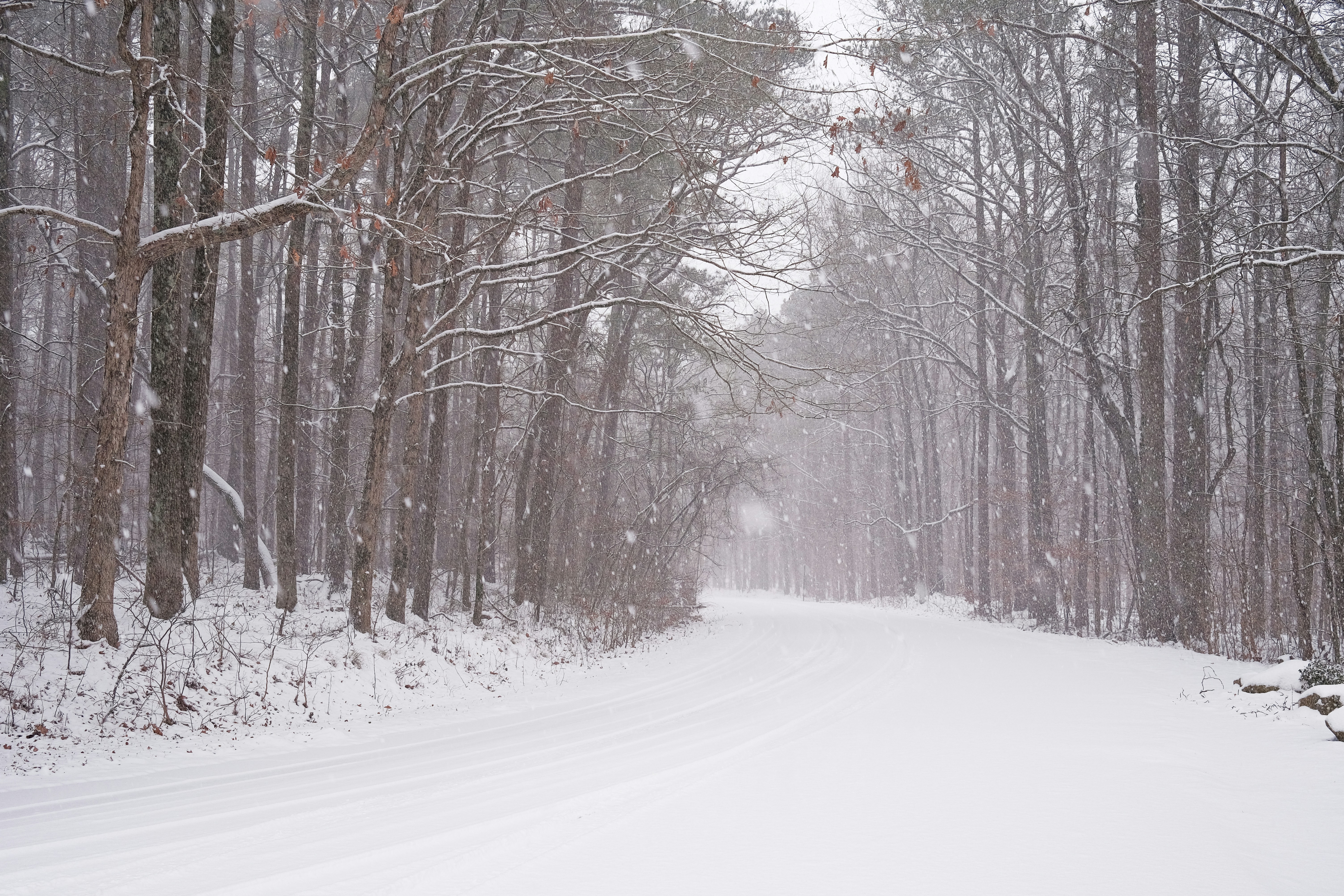 Photo by theaaronsimpson