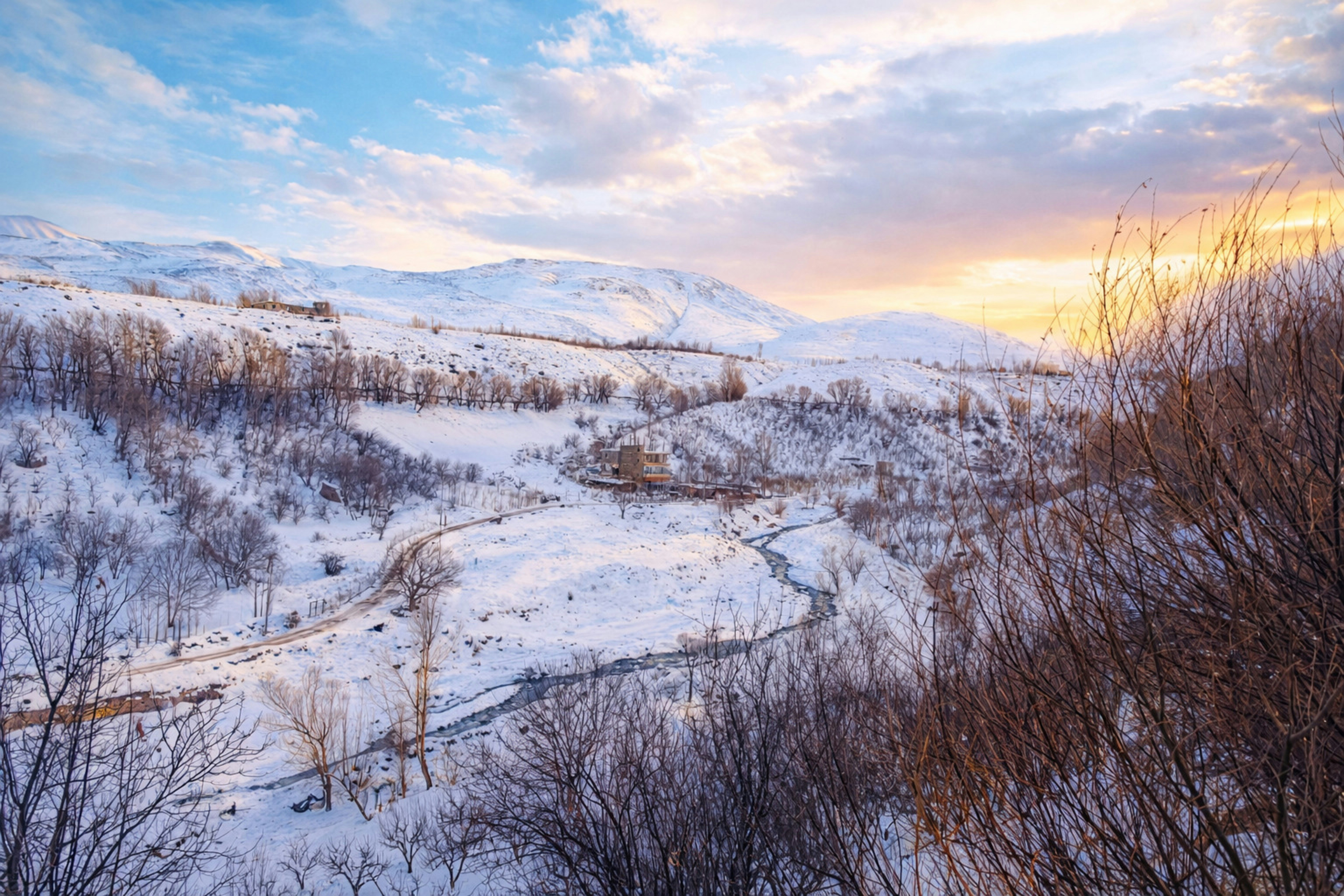 Photo by amirmoharrami