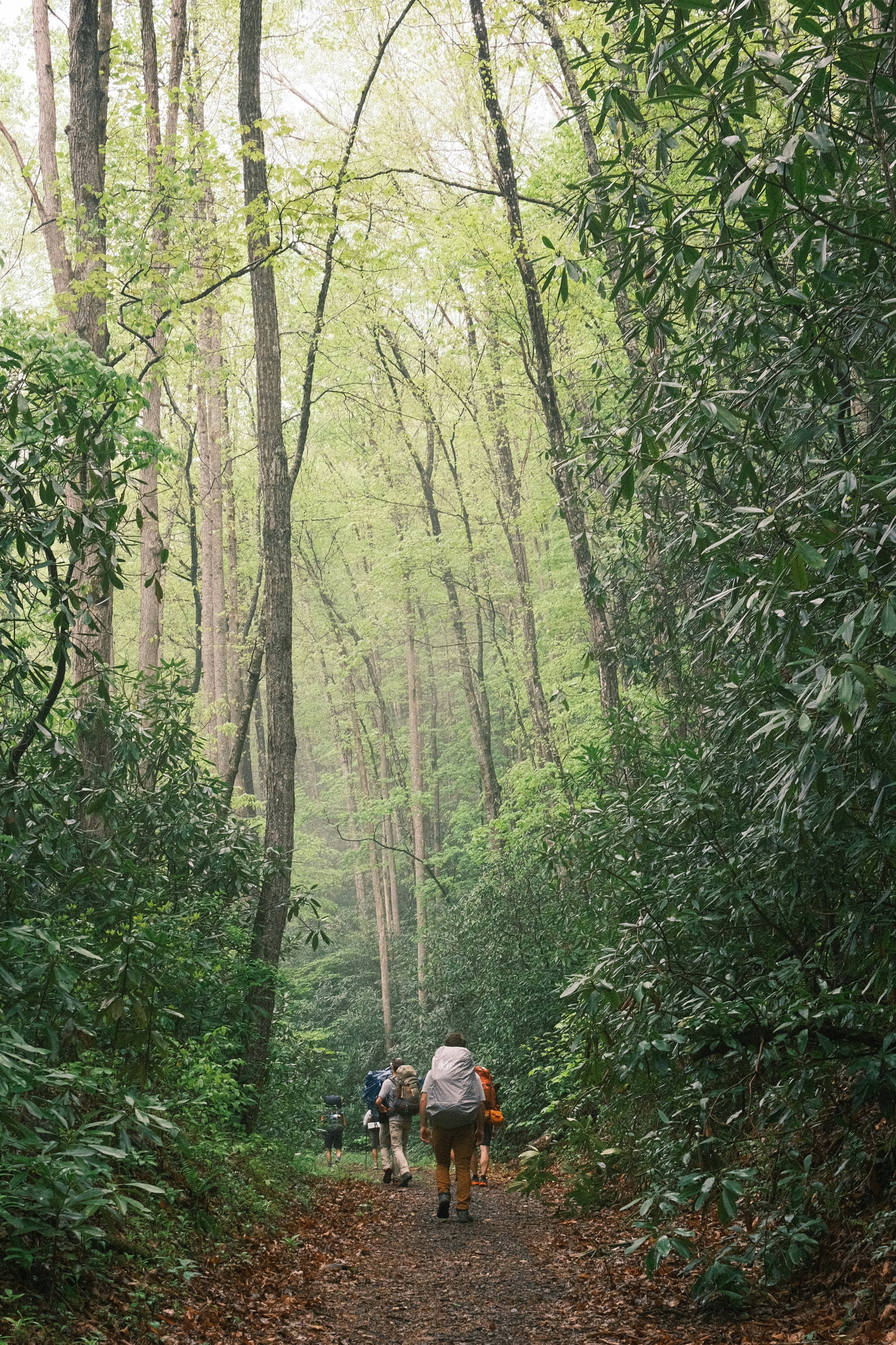 Photo by theaaronsimpson