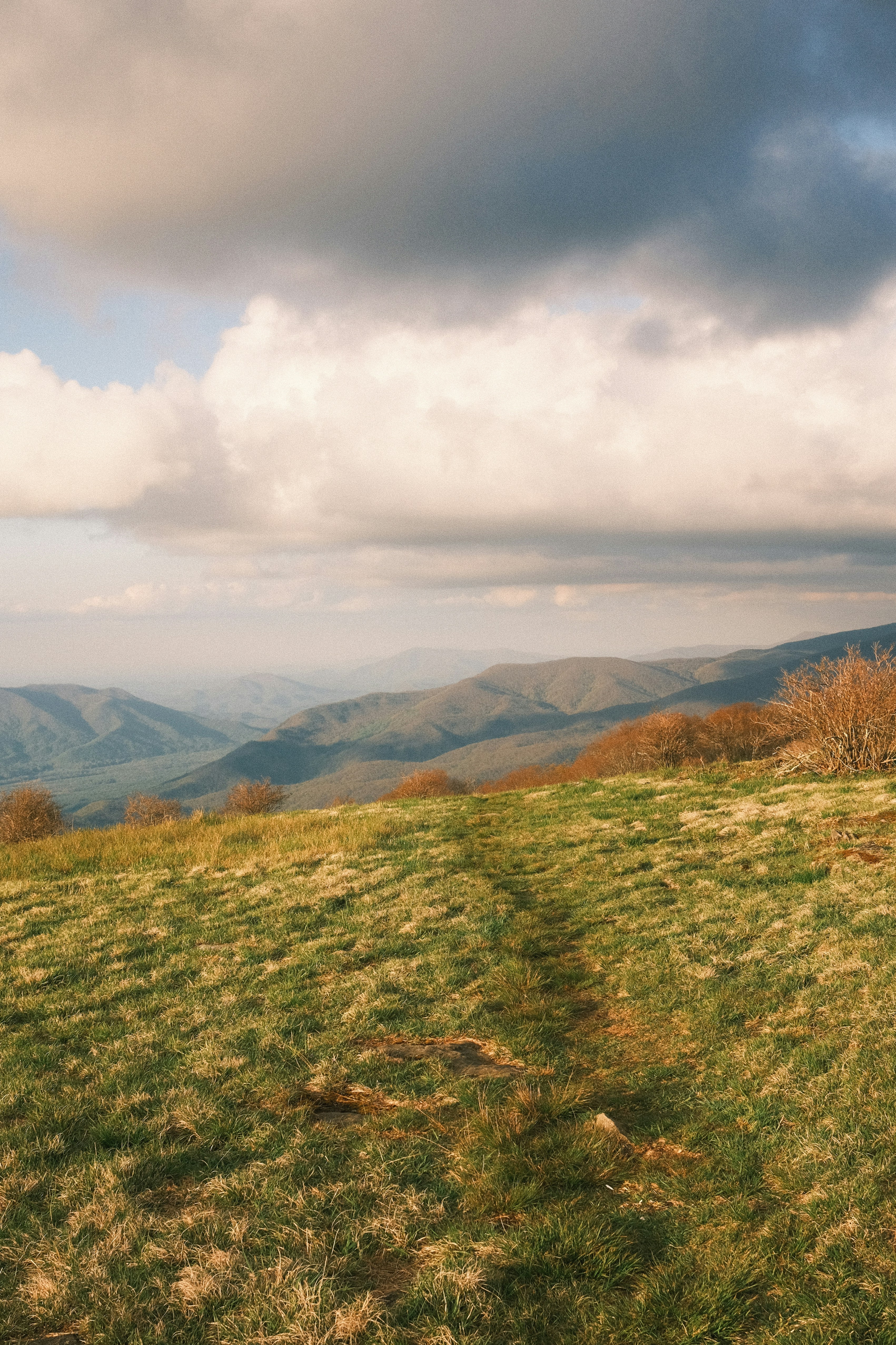 Photo by theaaronsimpson