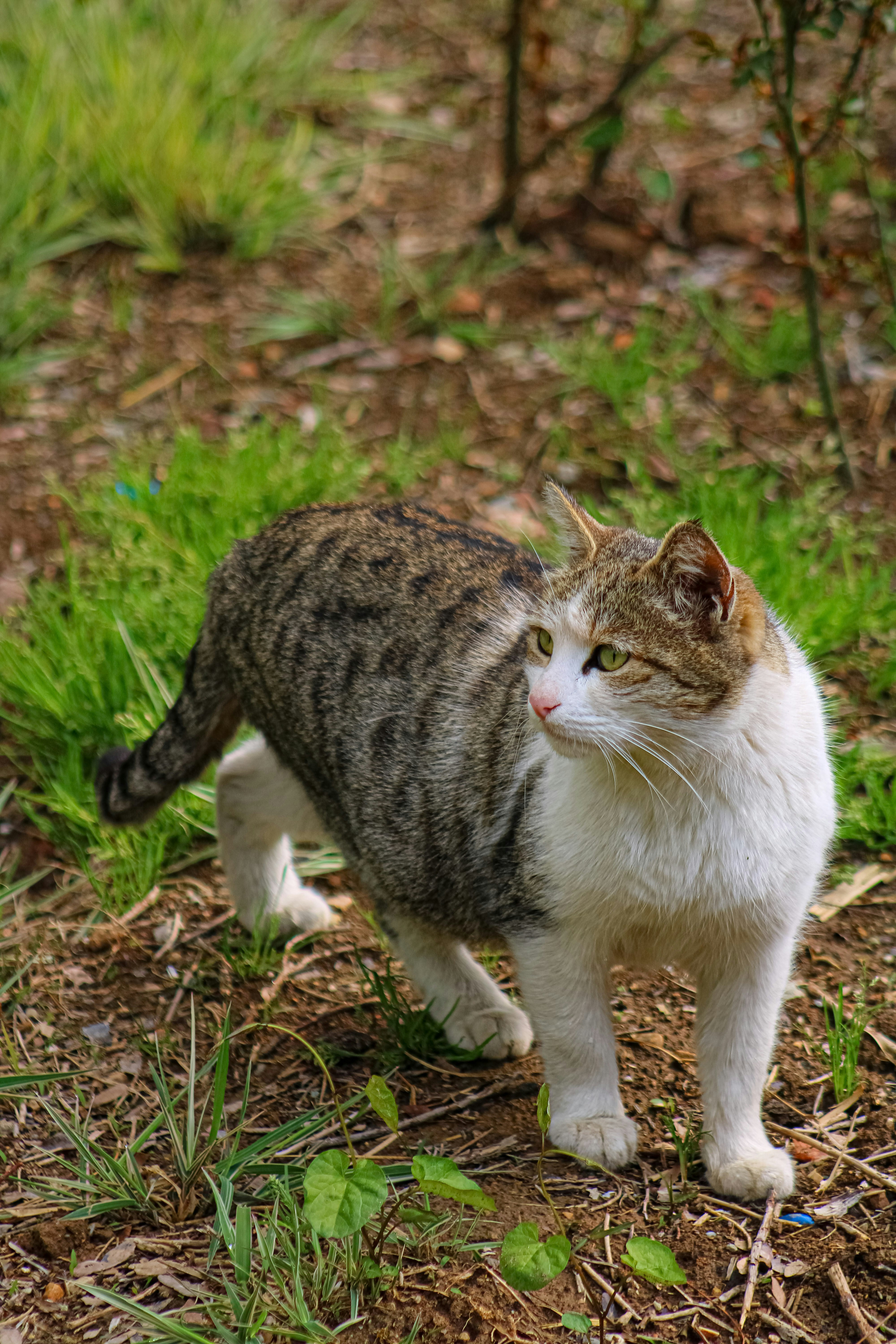 Photo by nouriehferdosian