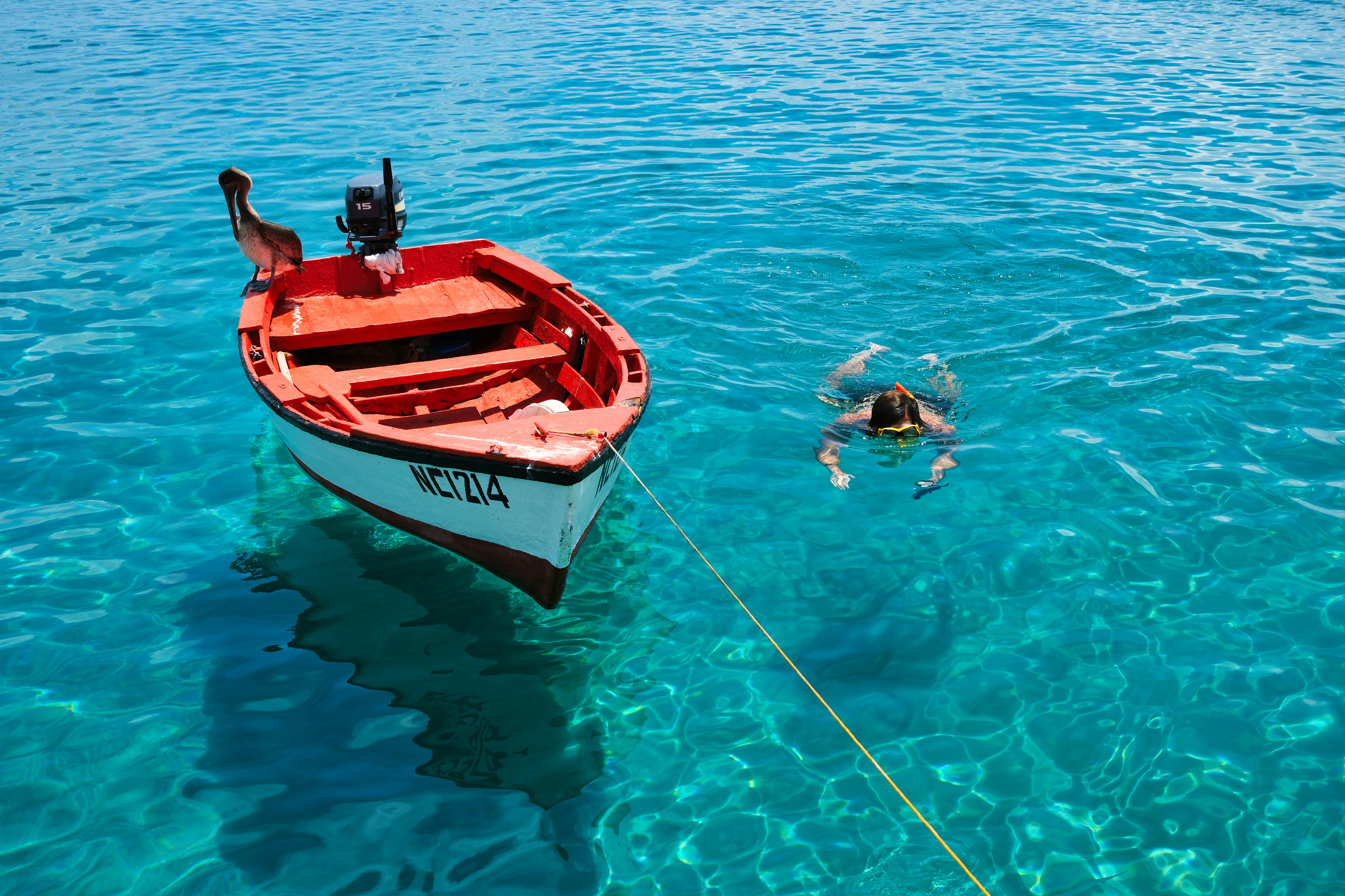 Photo by travelling_mo