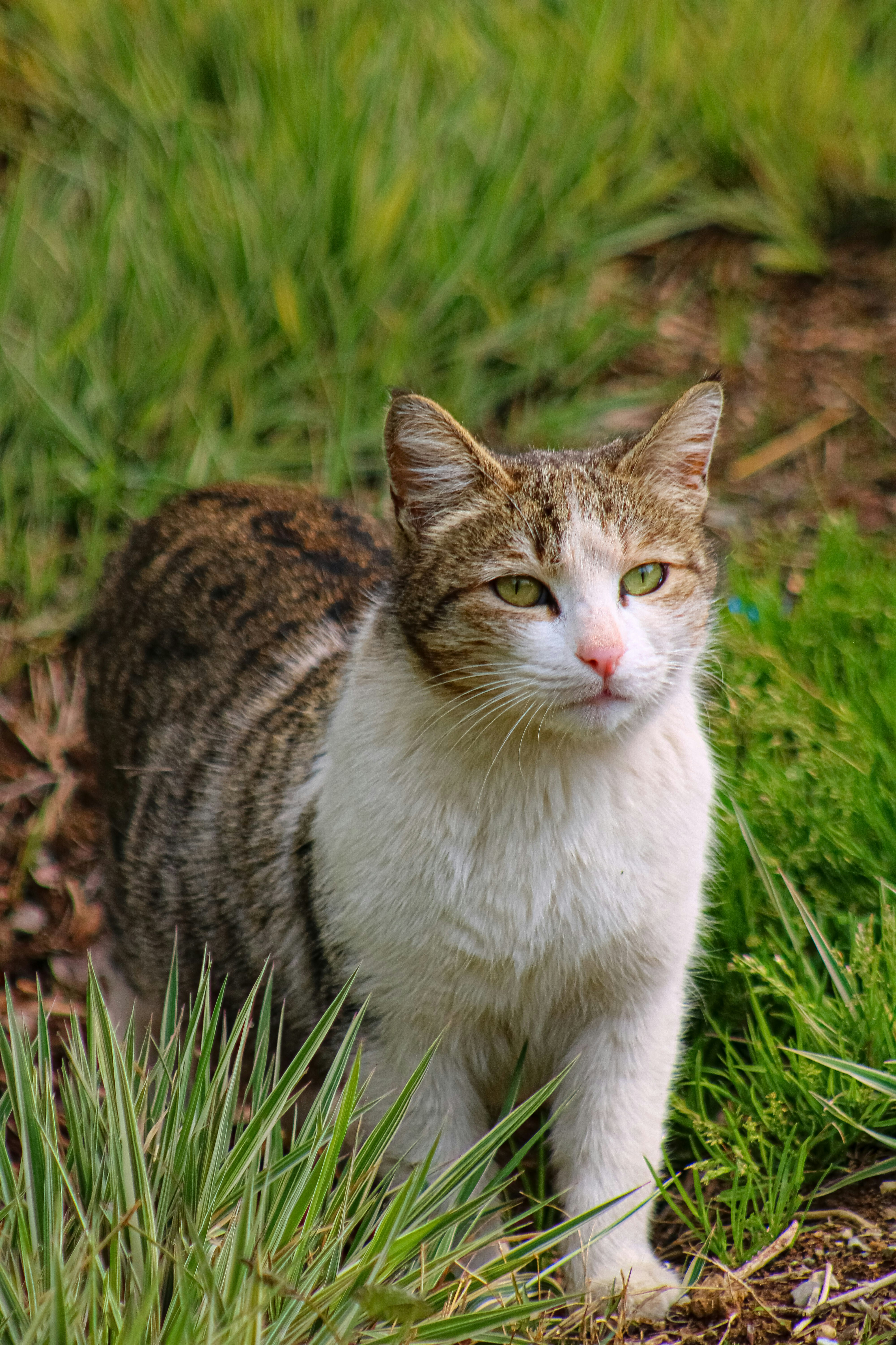 Photo by nouriehferdosian