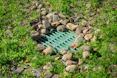 Green grate surrounded by rocks and grass