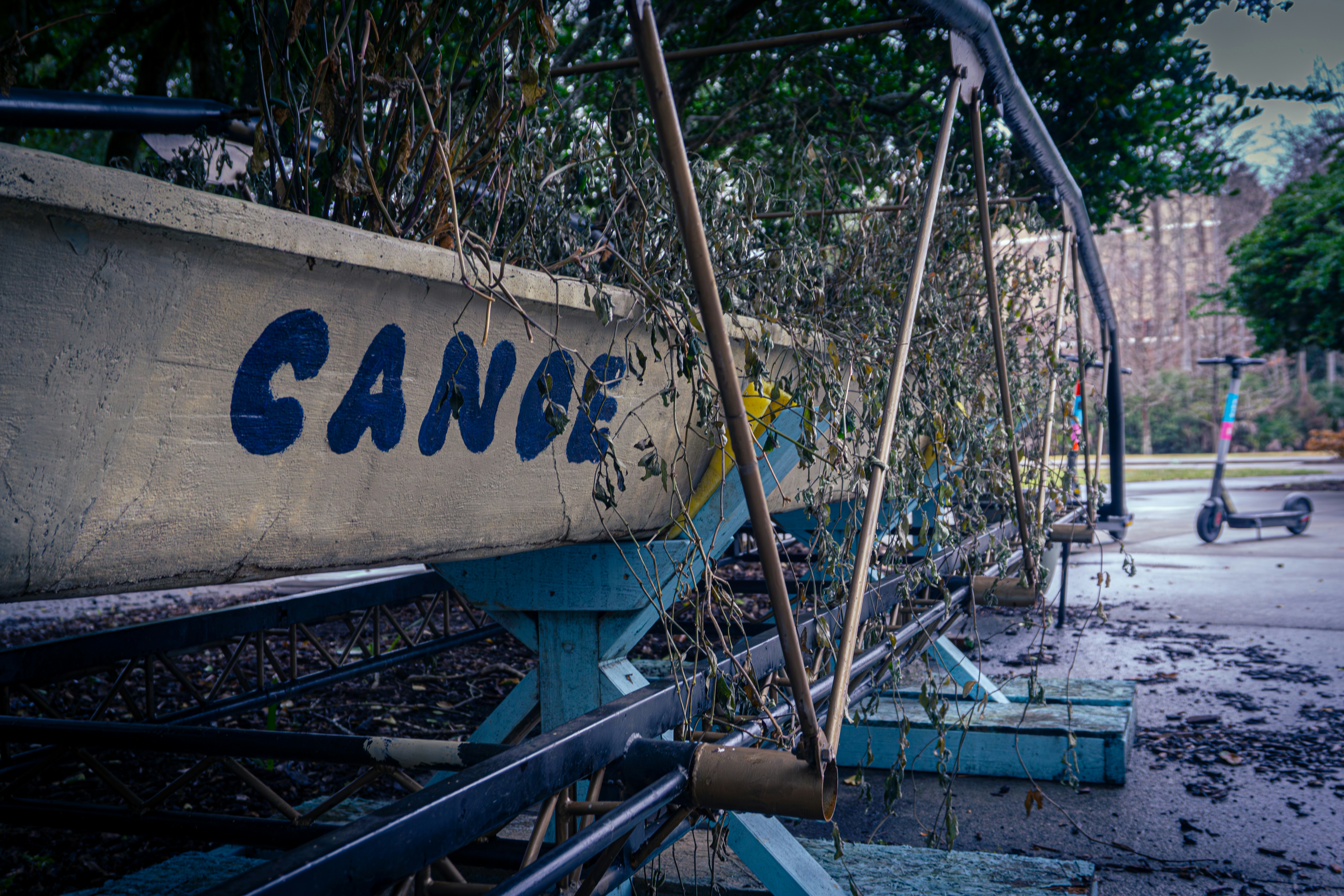 Old canoe on a weathered stand with overgrown plants