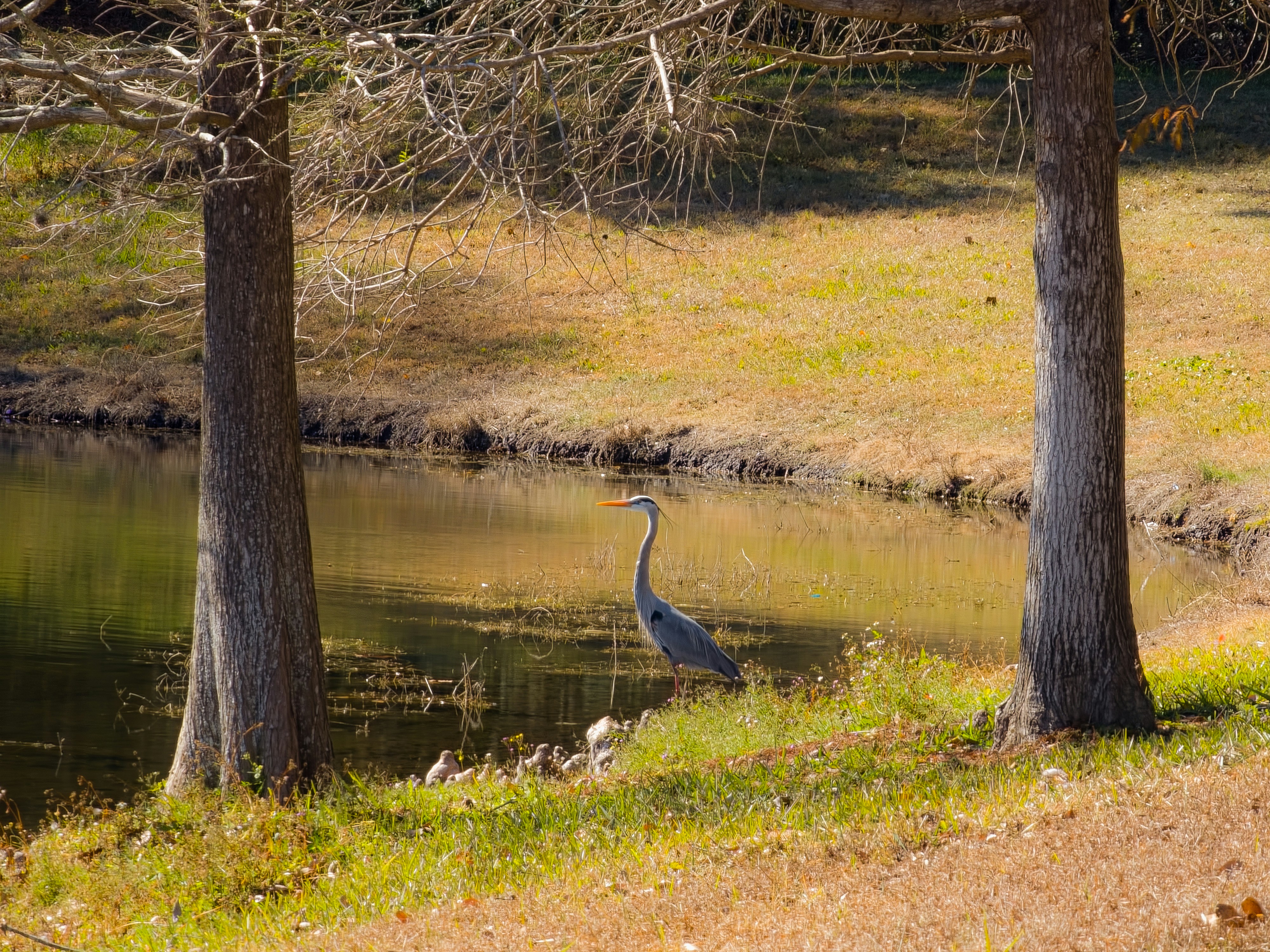 Leonard Grenwelge County Park