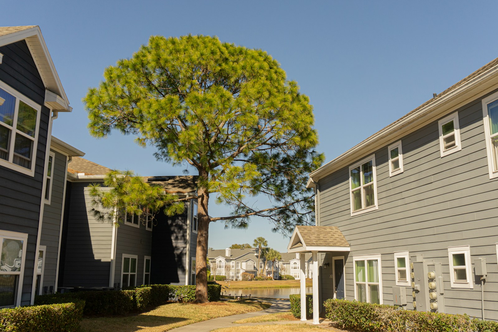 Grandview Heights: South Surrey's Most Complete Neighbourhood