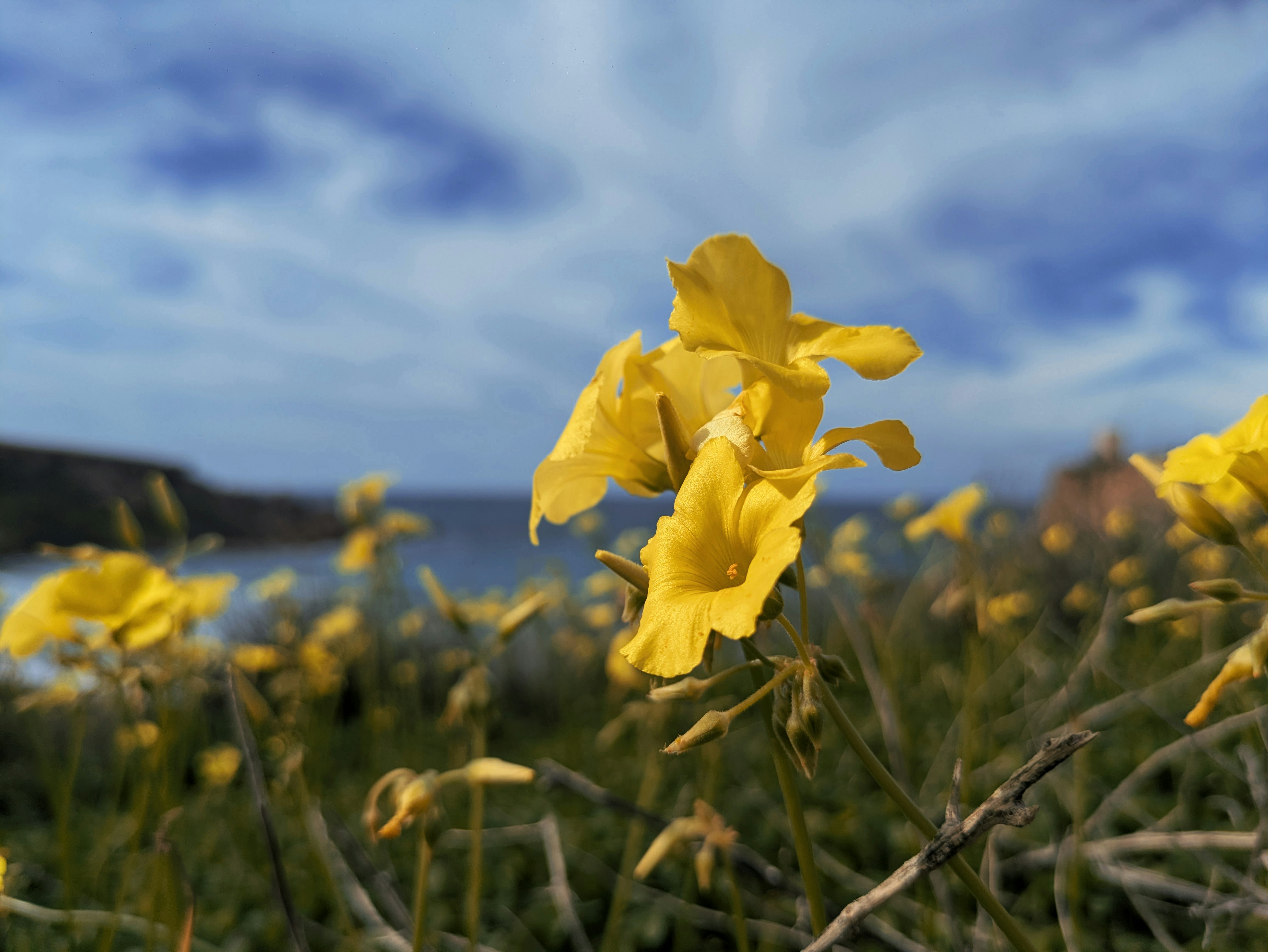 Photo by andrew_abela_