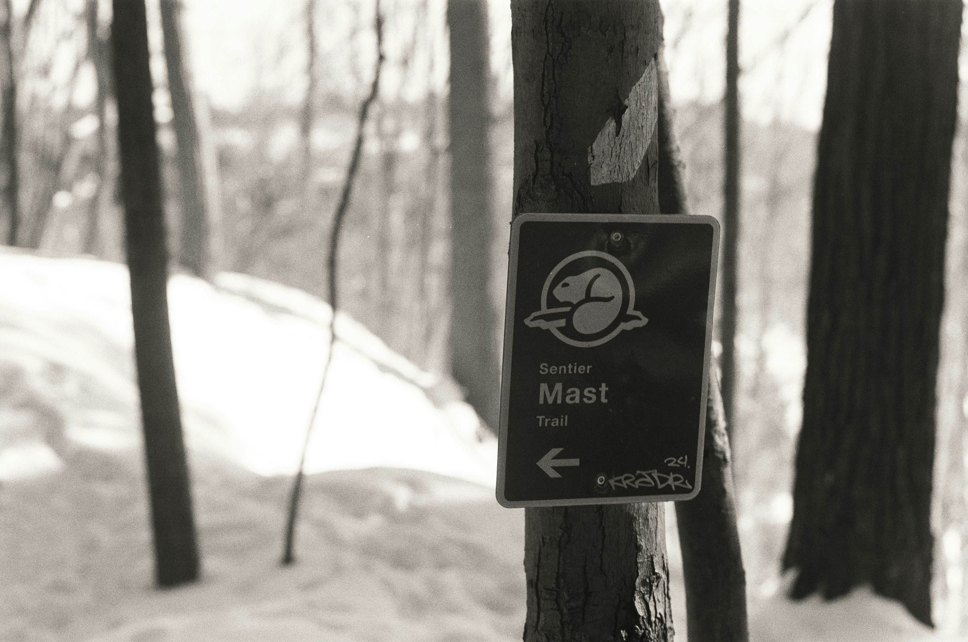 Ein Schild an einem Baum in einem verschneiten Wald.