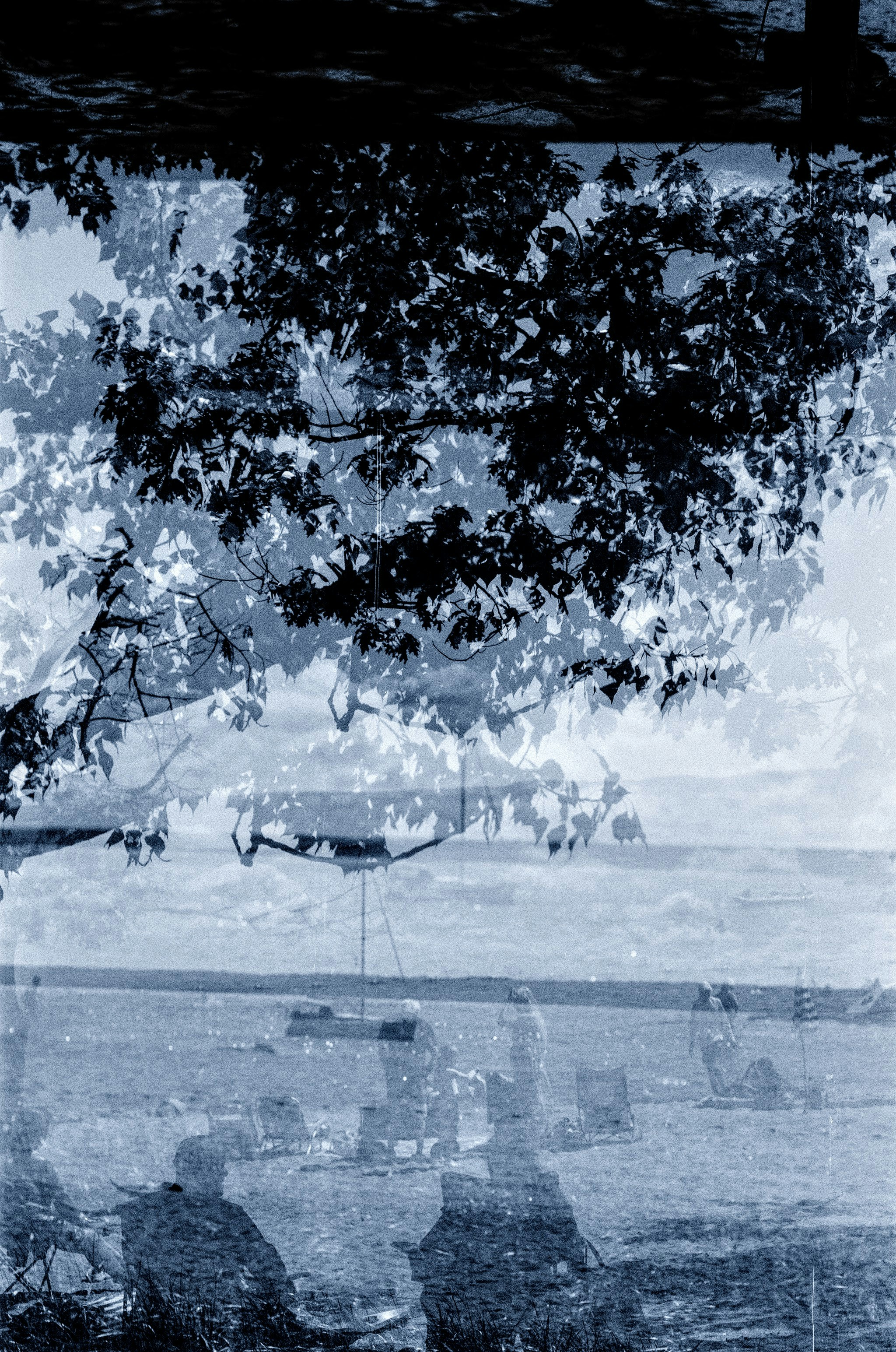 Double exposure of trees and boats on a waterfront.