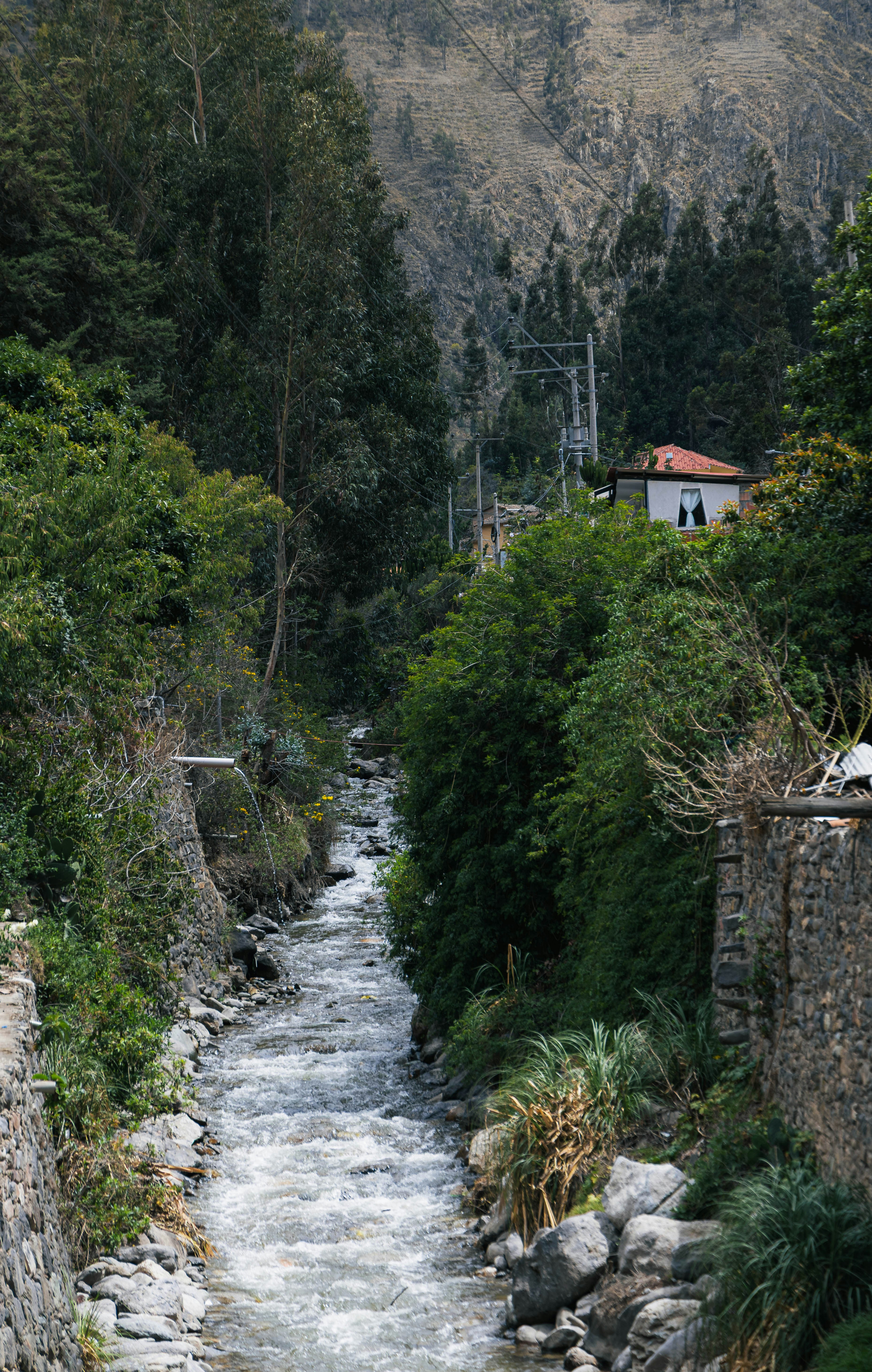 A fast-flowing river runs through a lush green valley.