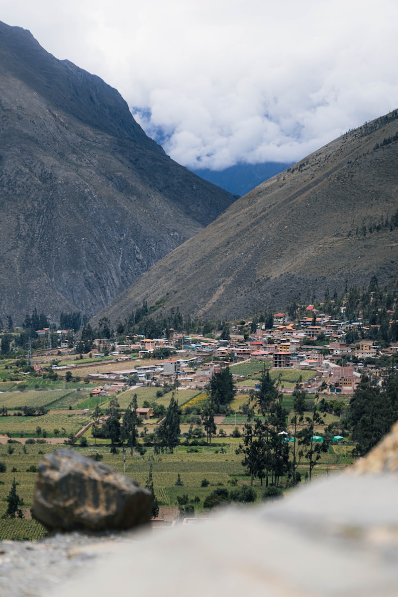 Photo 1770834038131 Cd7ed7145a7b?auto=format&fit=crop&w=800&q=70