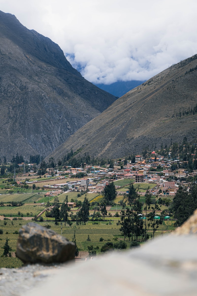 Photo 1770834038131 Cd7ed7145a7b?q=80&w=800