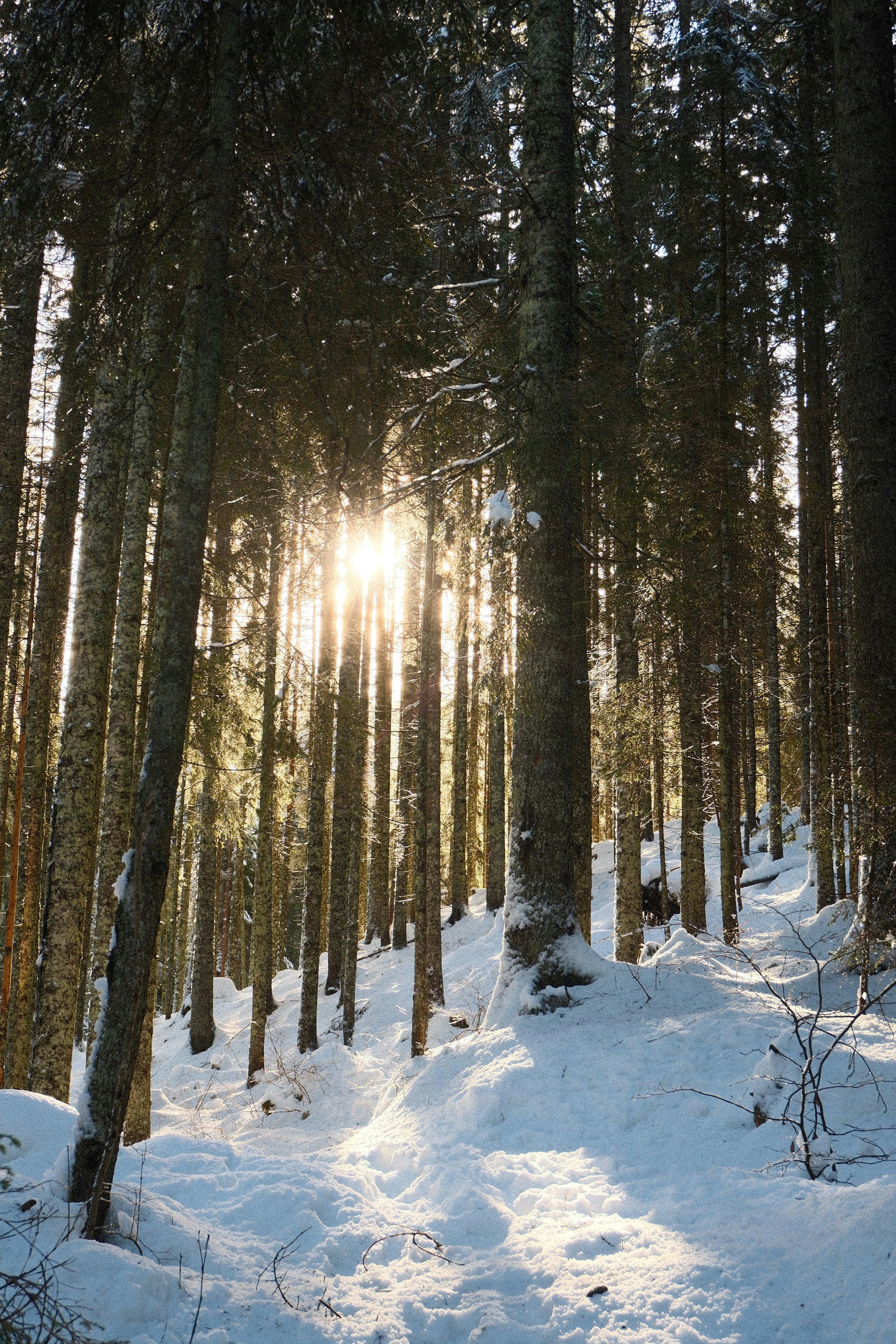 Photo by manca_cadez