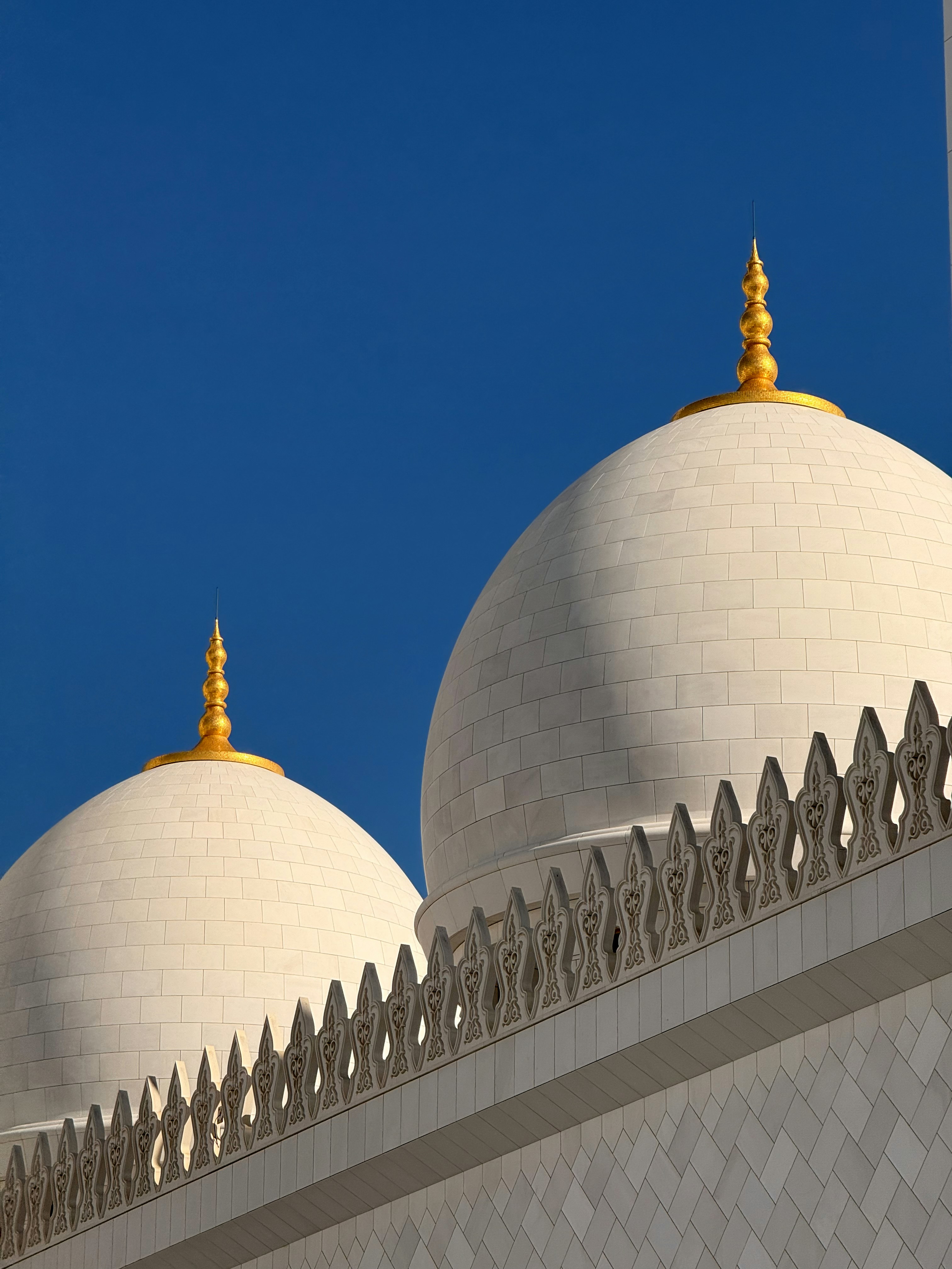 Photo by artemisss666