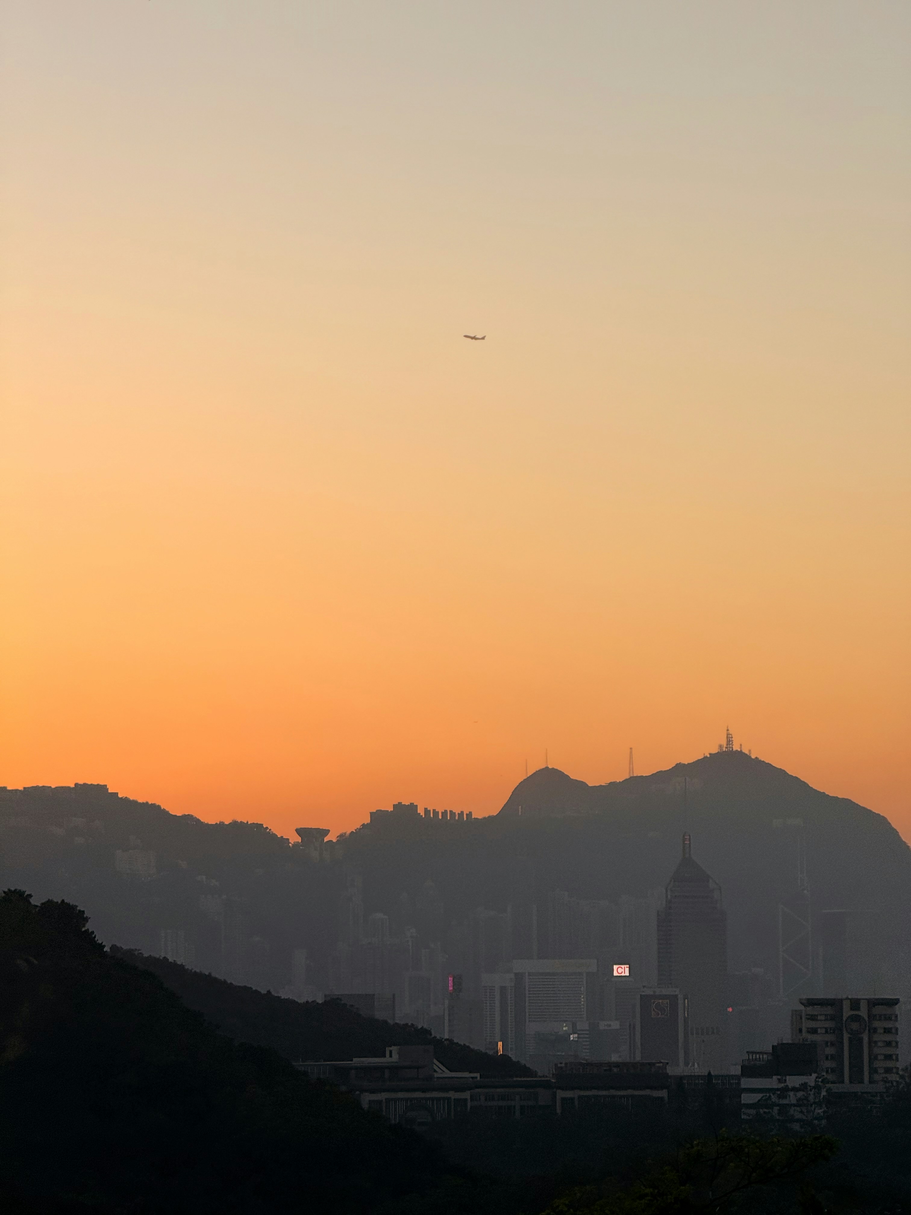 Photo by artemisss666