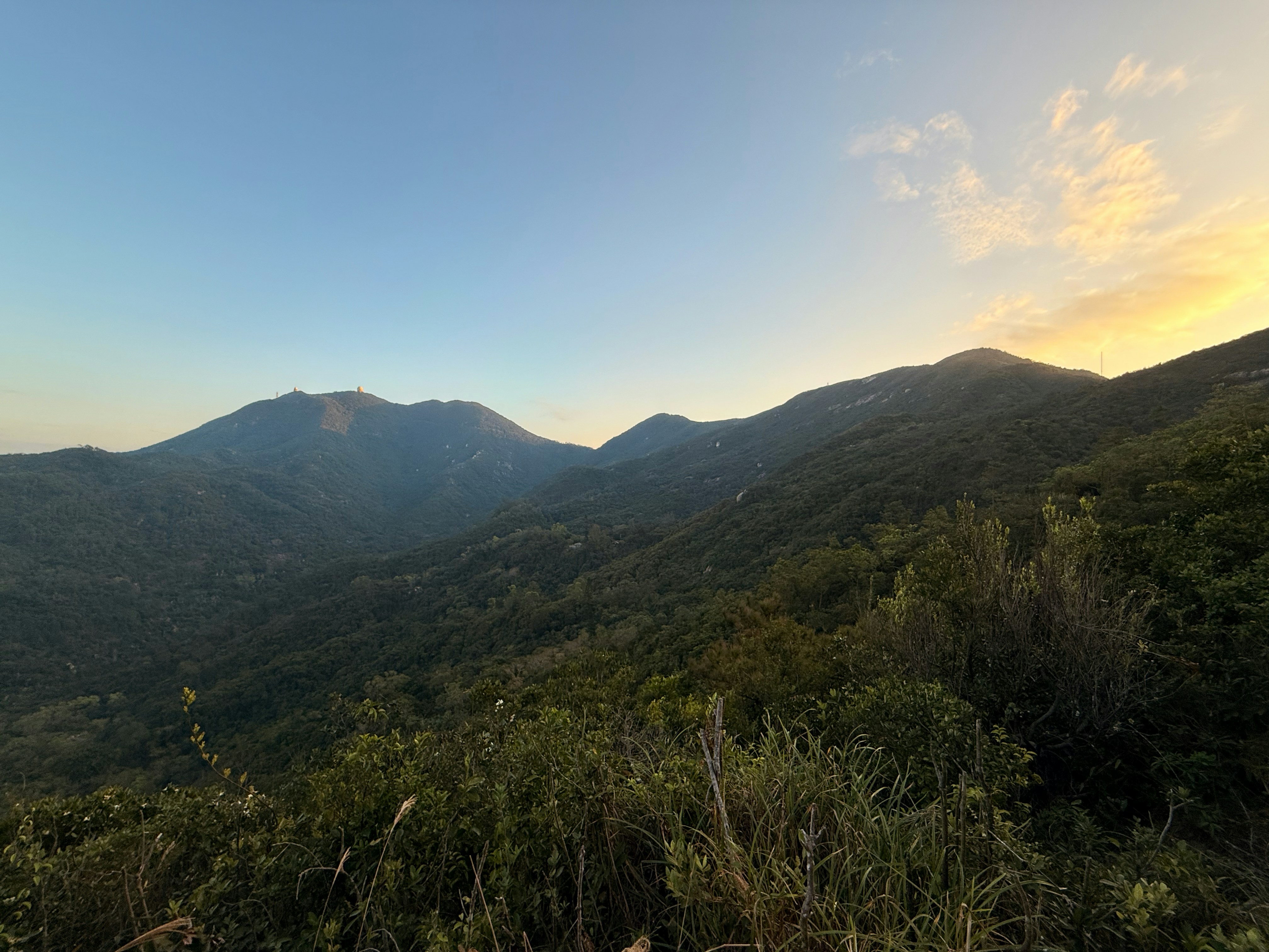 Rolling green hills under a clear sky at sunset