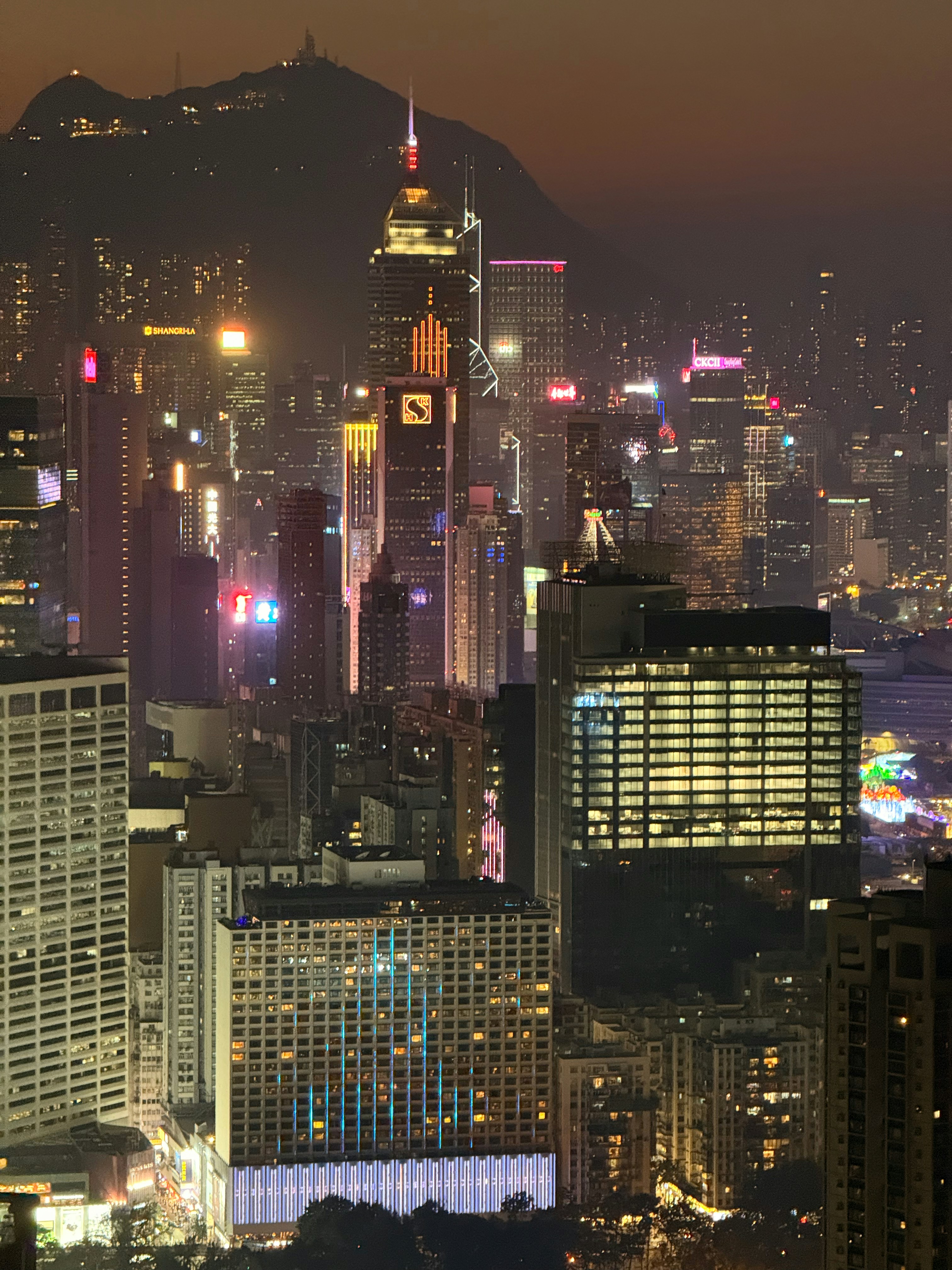 Photo by artemisss666