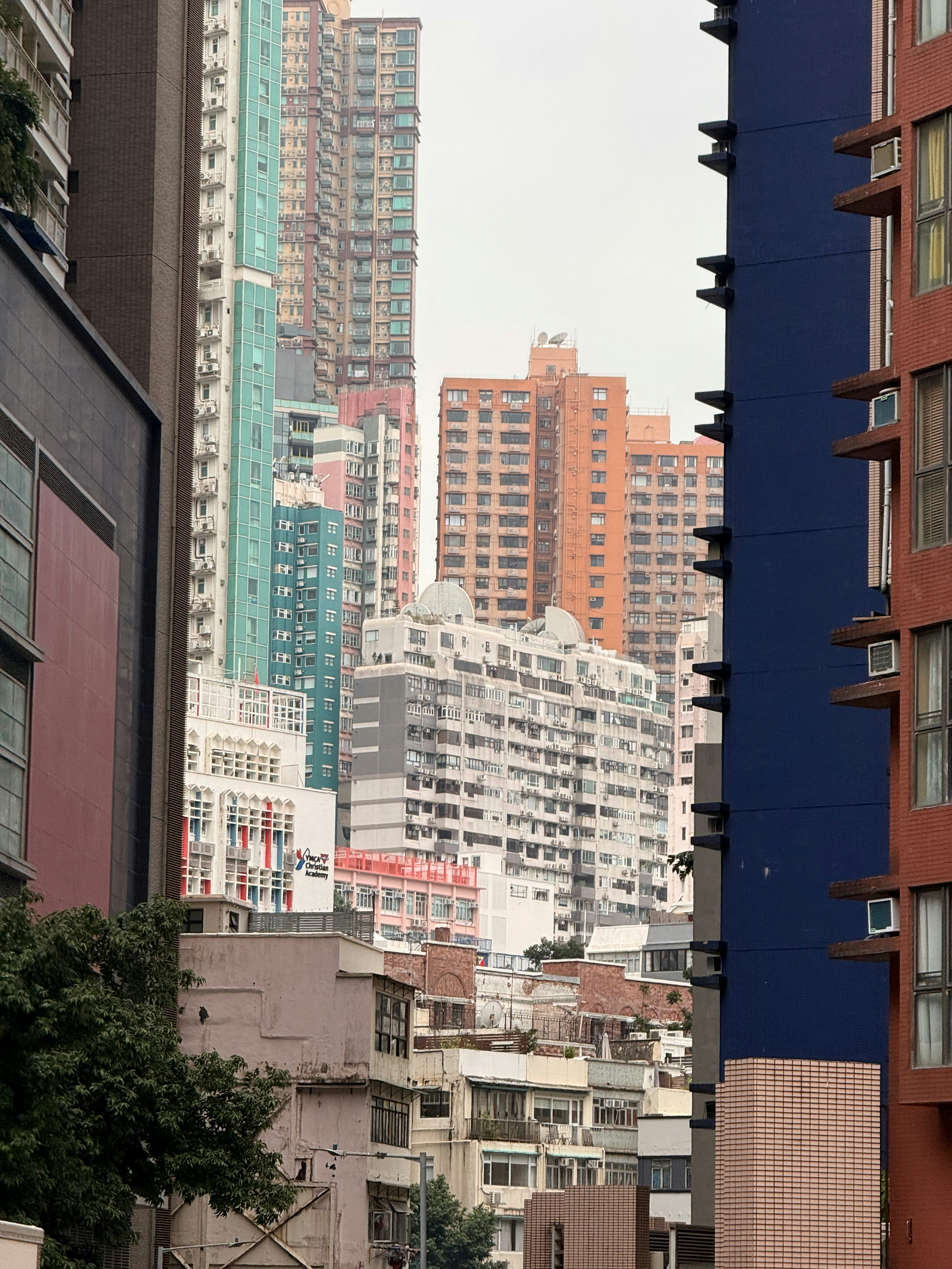 Photo by artemisss666