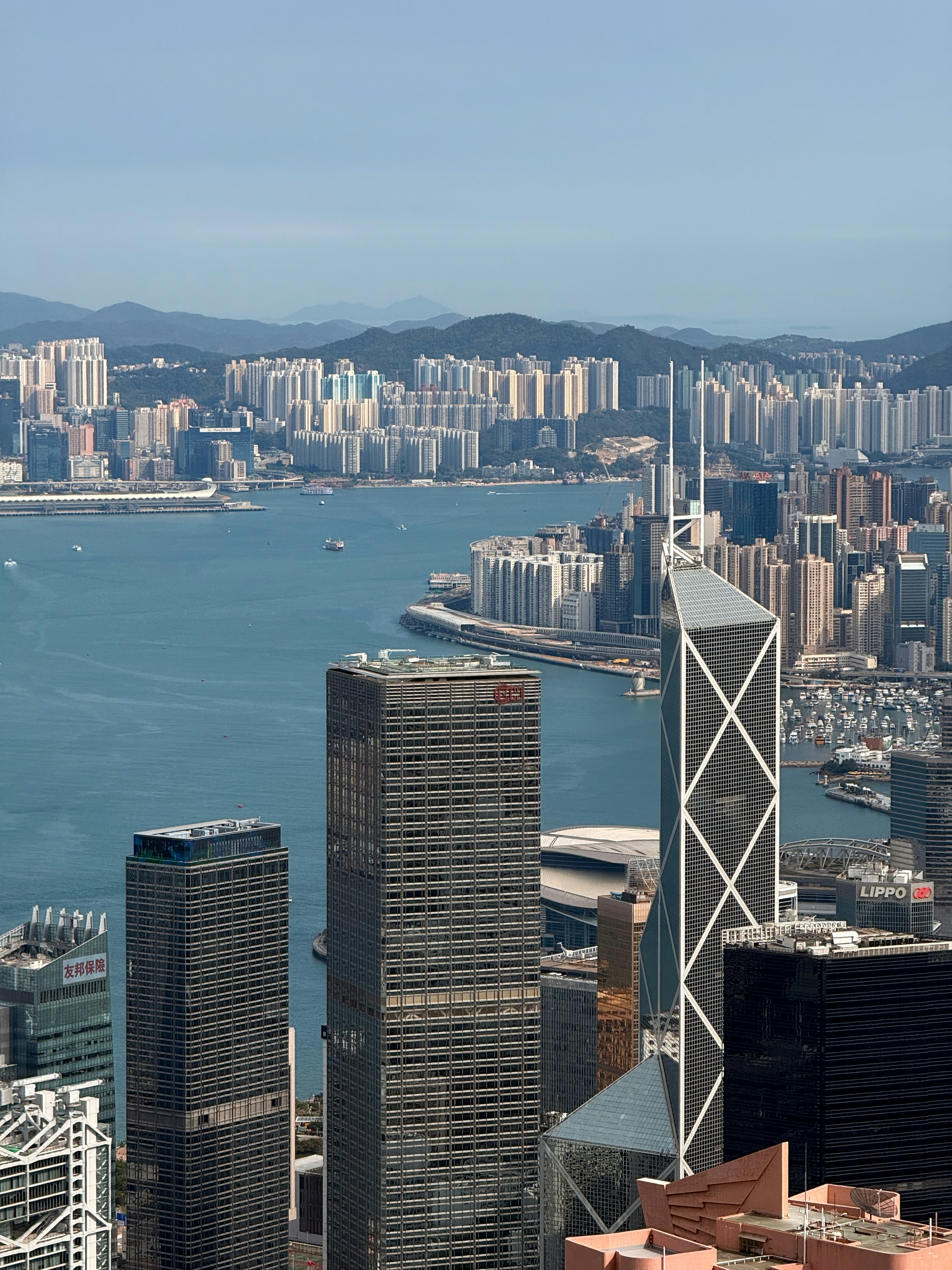 Photo by artemisss666