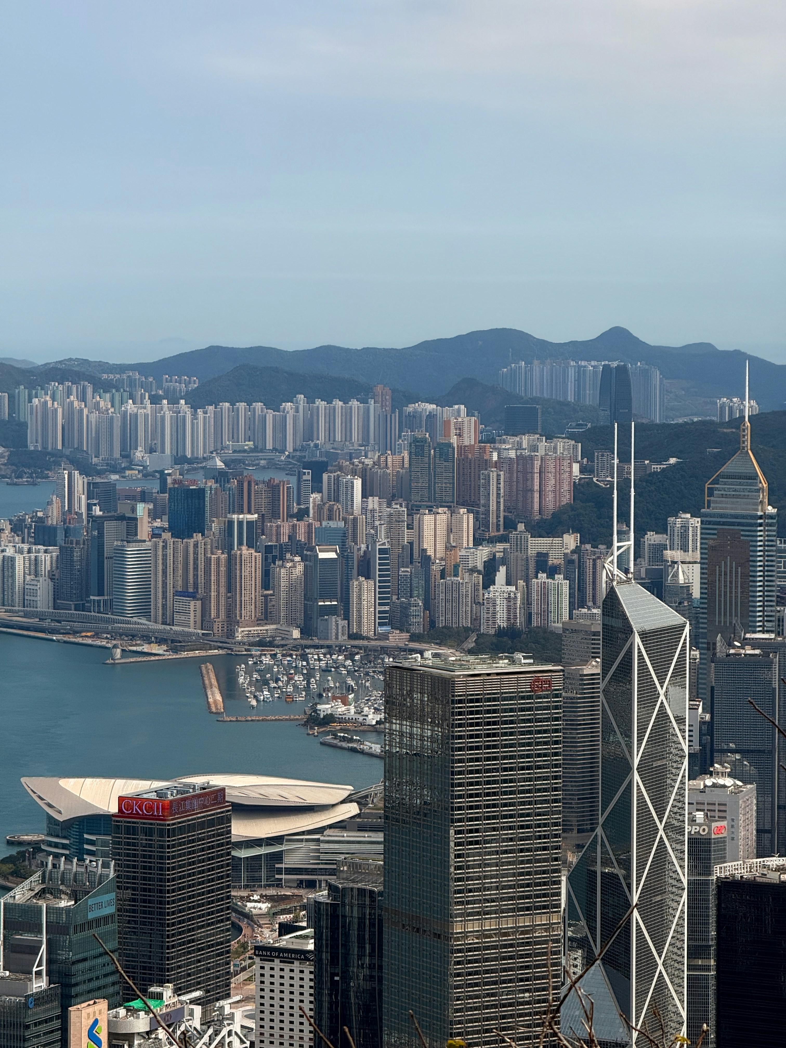 Photo by artemisss666