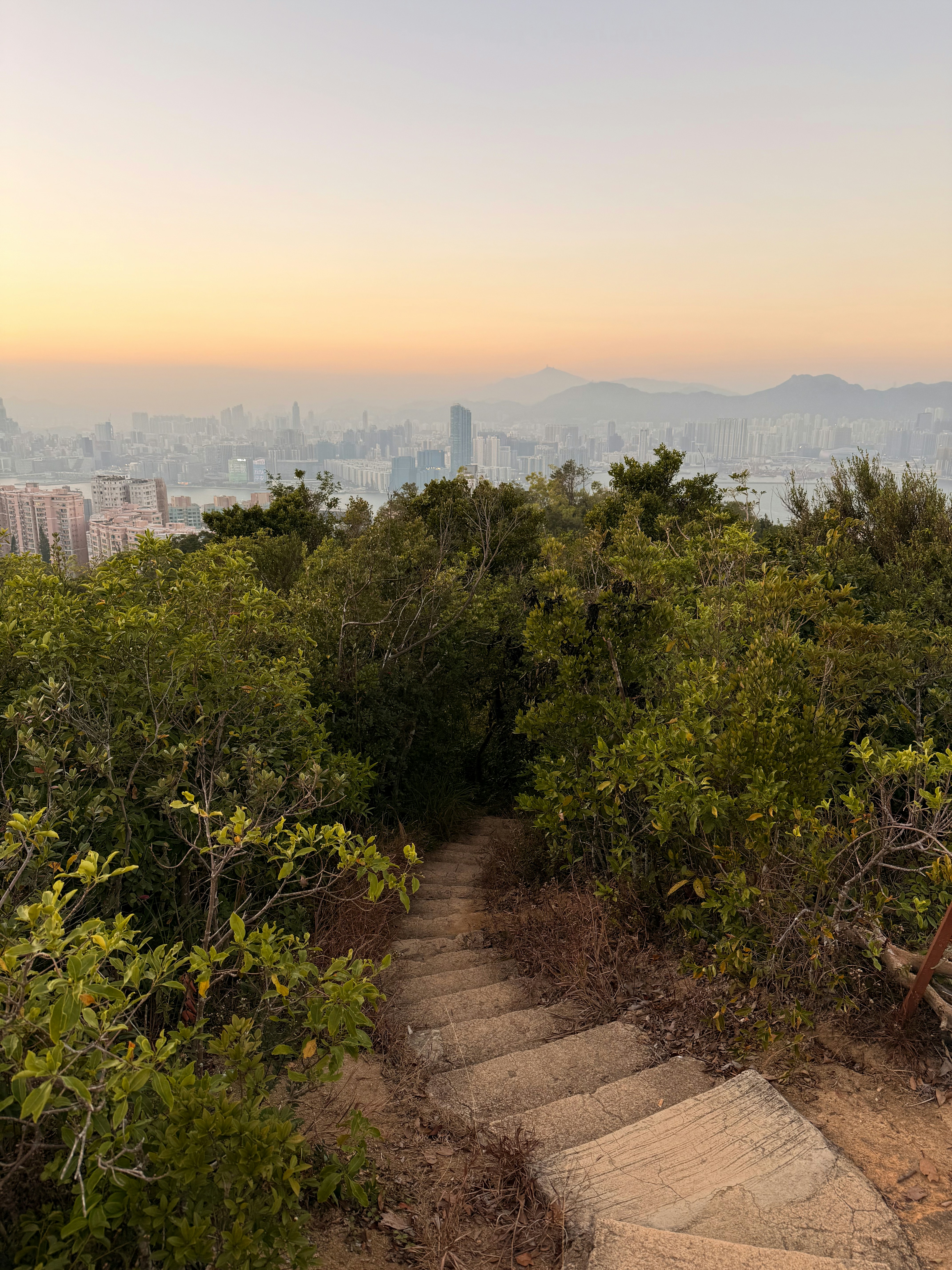 Stone stairs leading down through green foliage overlooking city