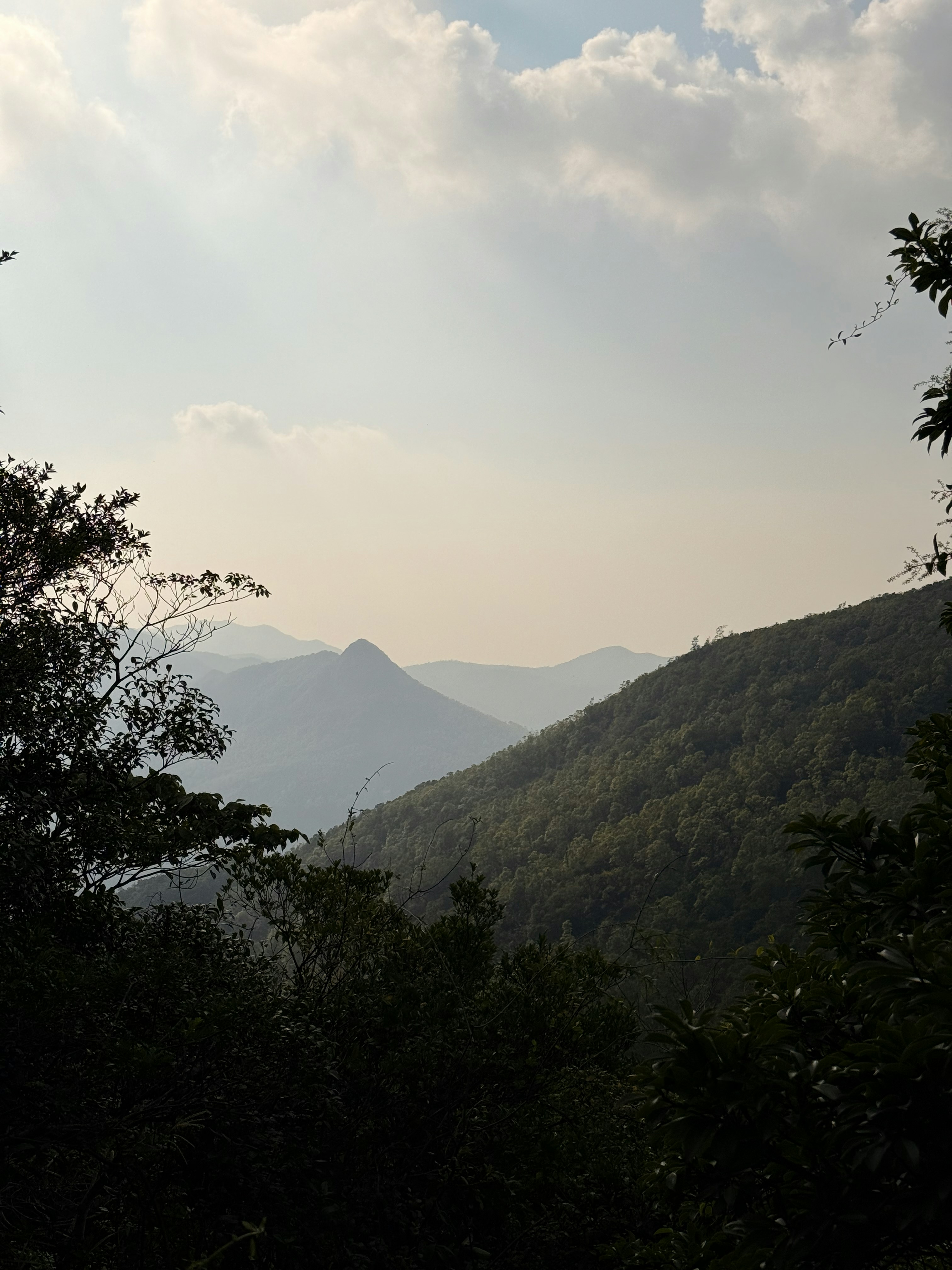 Silhouetted mountain range with trees in foreground