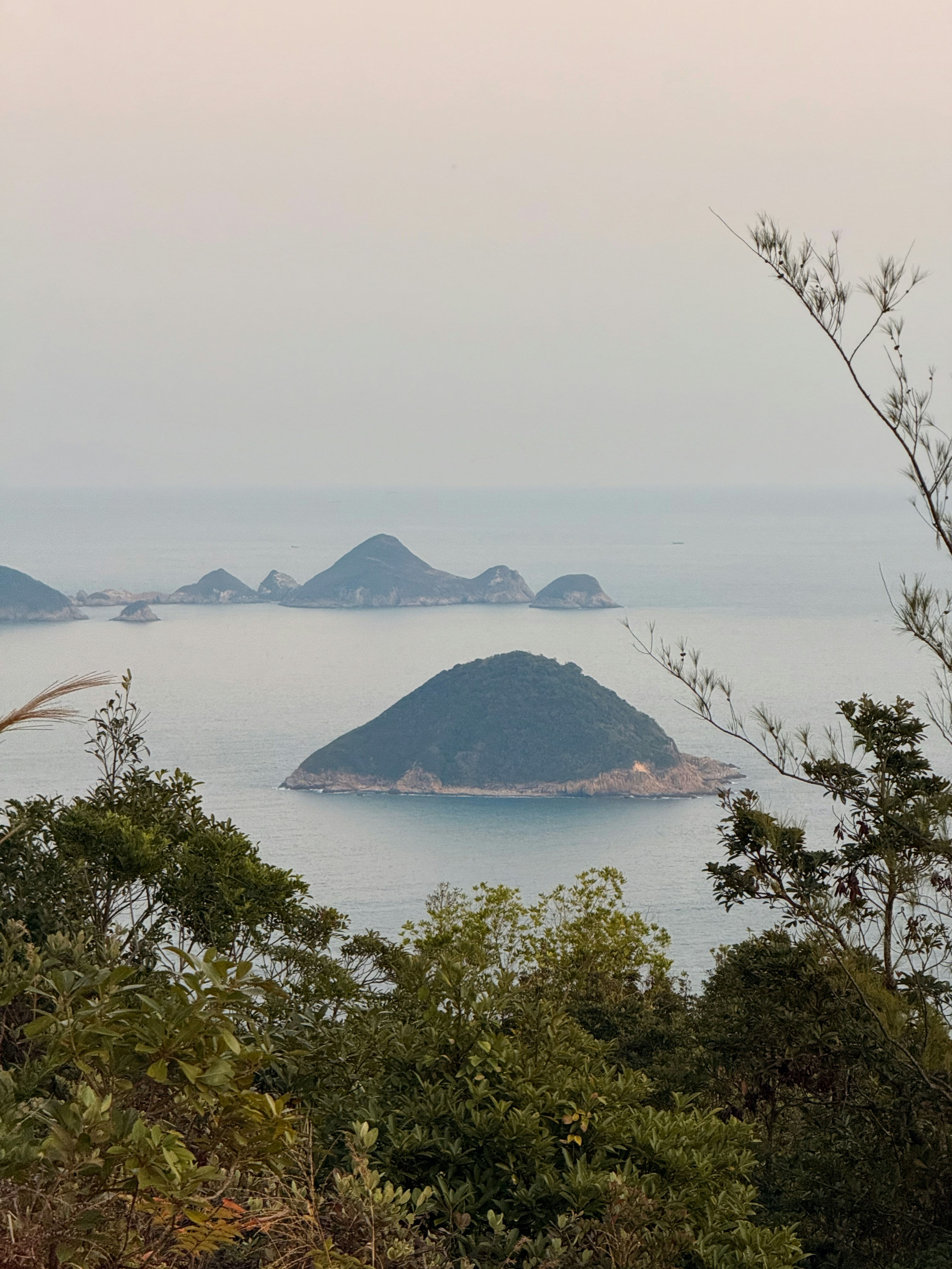 Islands in the ocean seen through trees