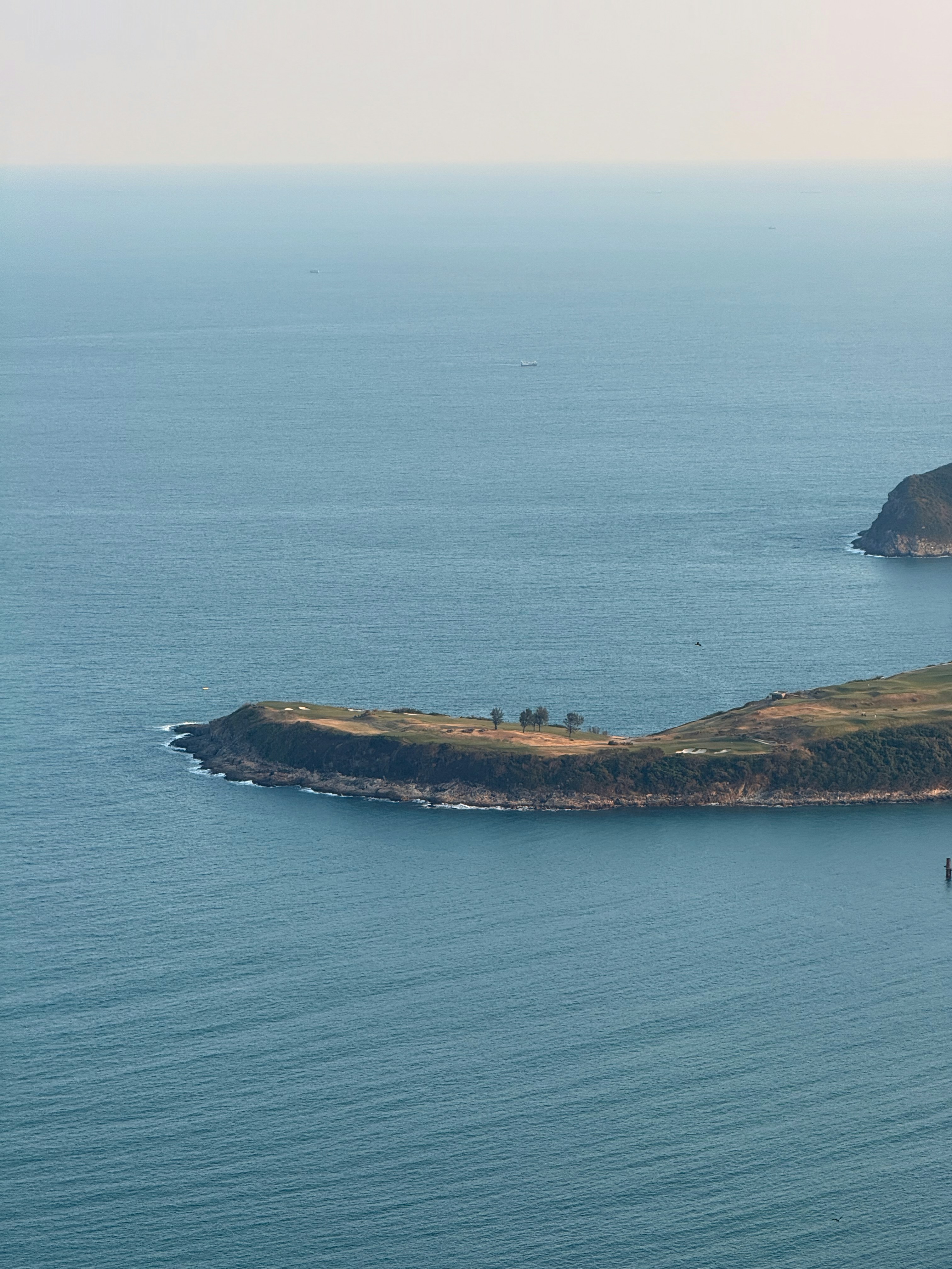 Photo by artemisss666