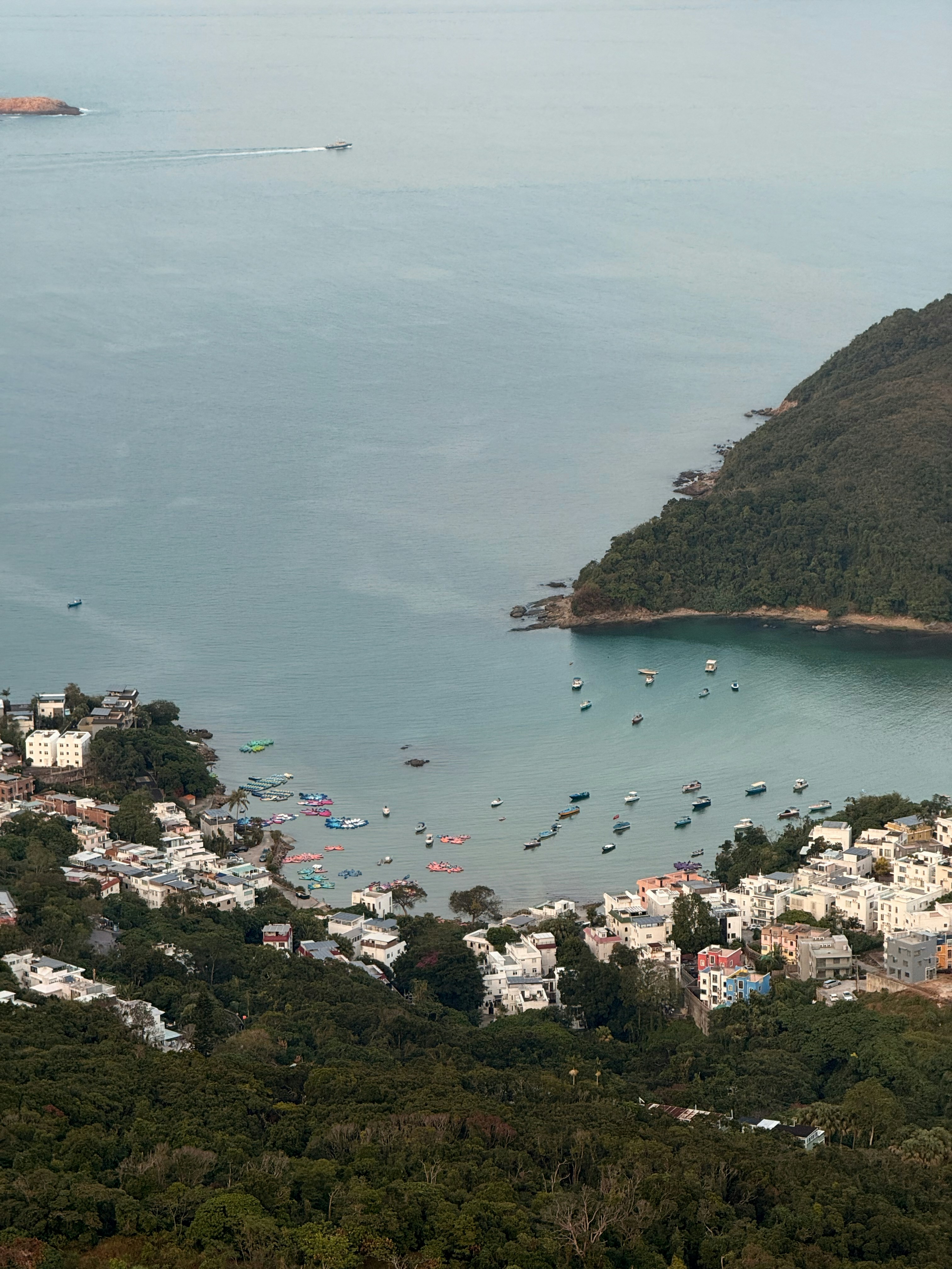 Photo by artemisss666