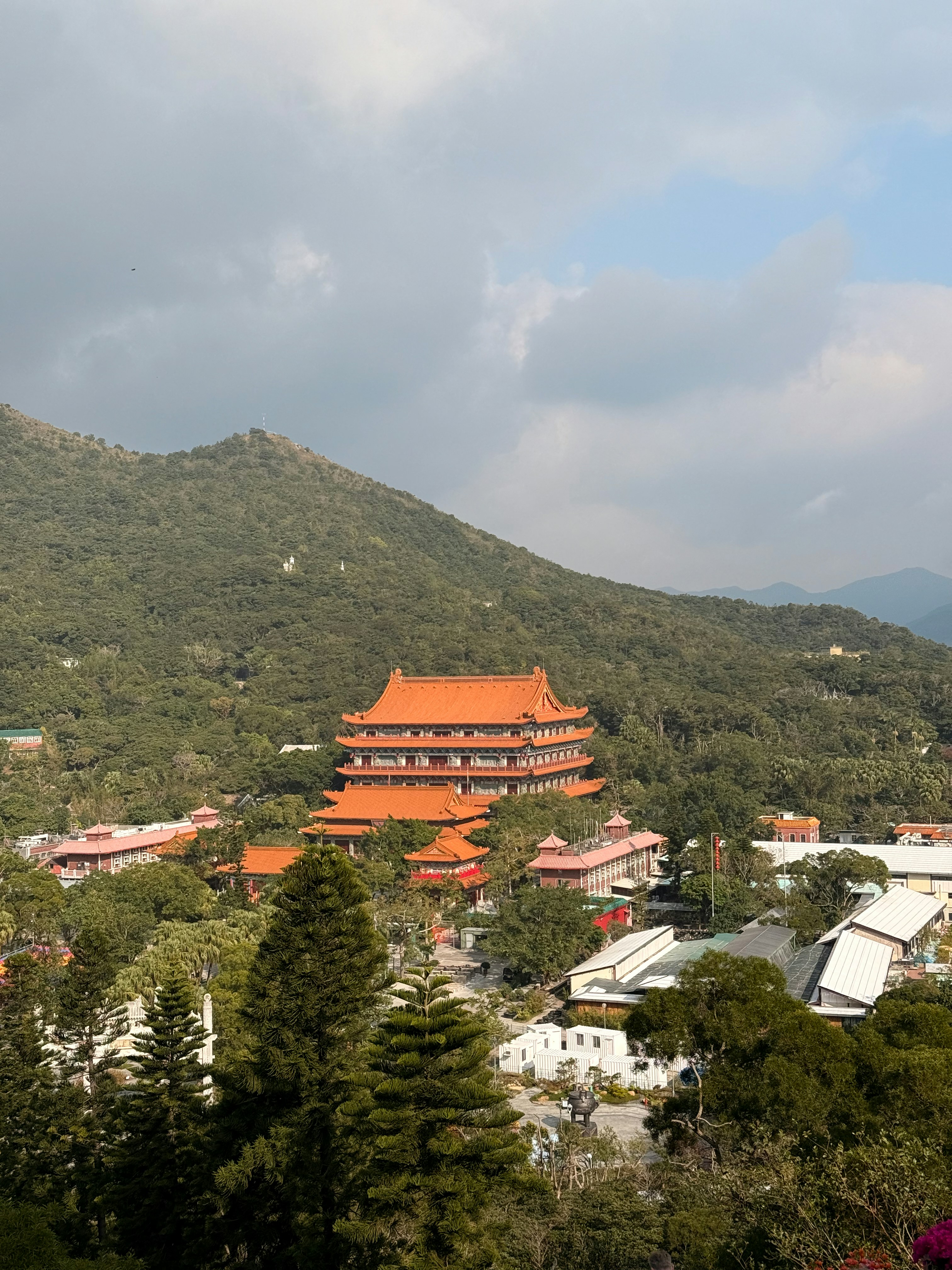 Photo by artemisss666