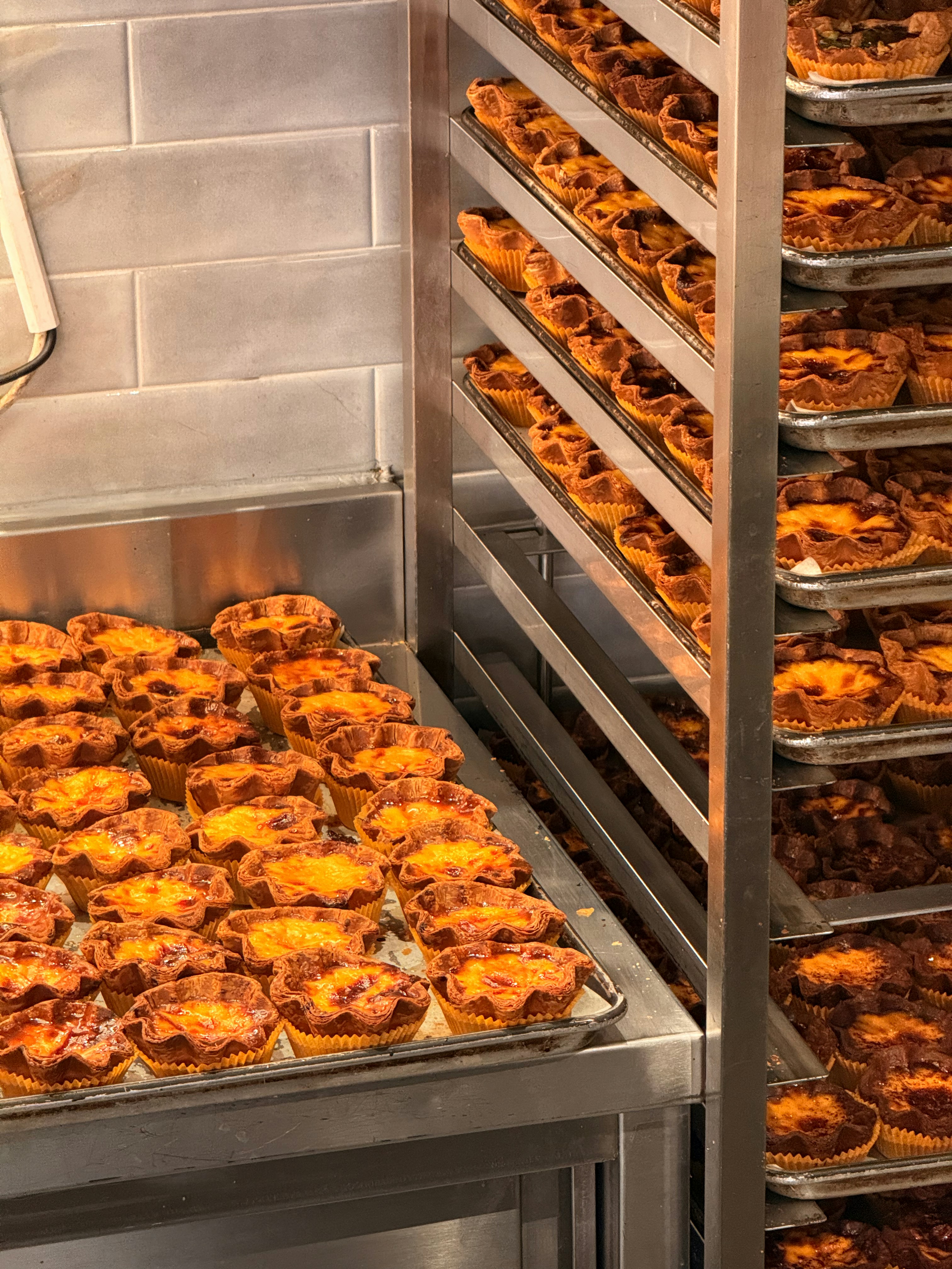 Rows of freshly baked portuguese custard tarts