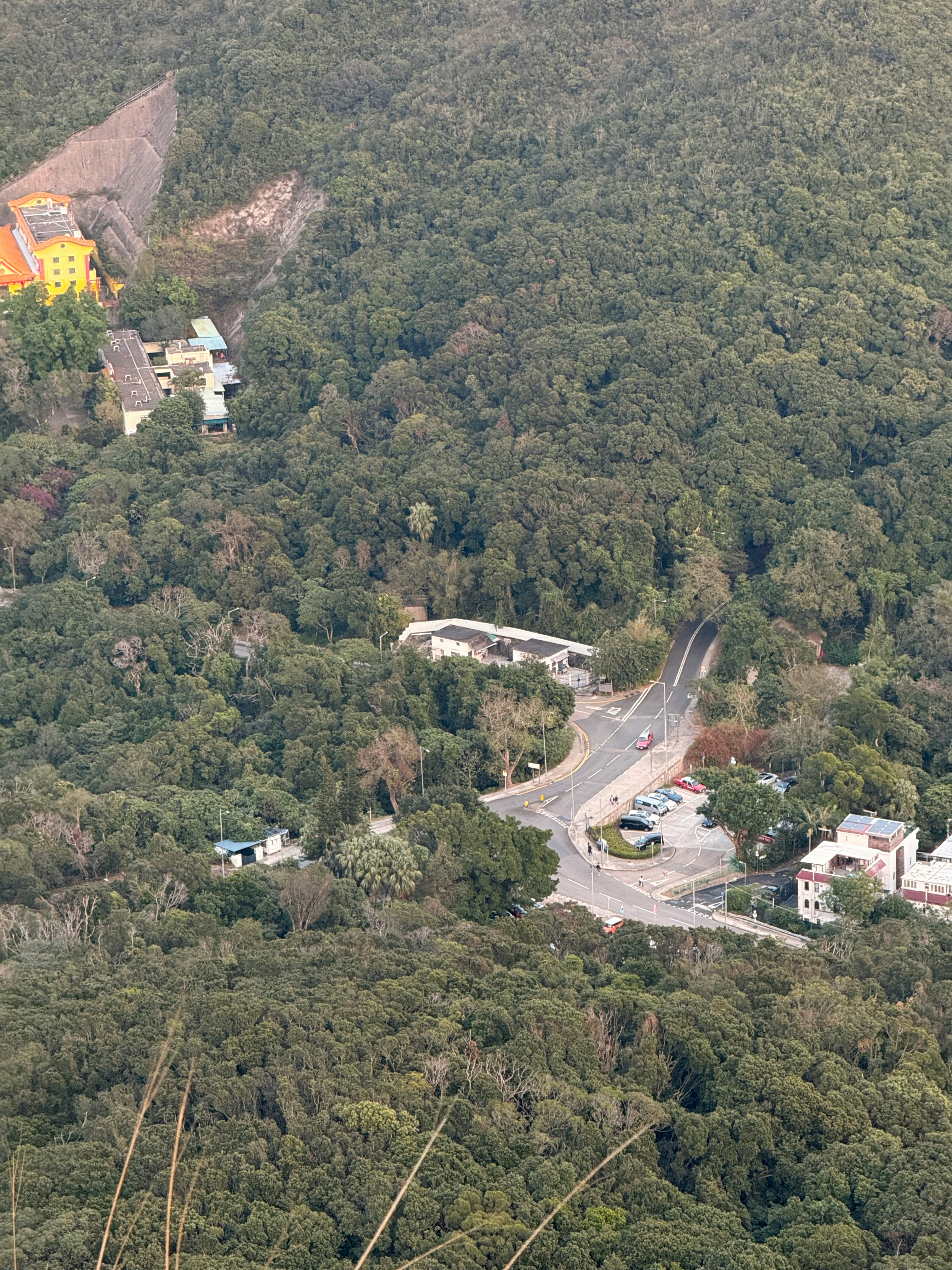 Photo by artemisss666