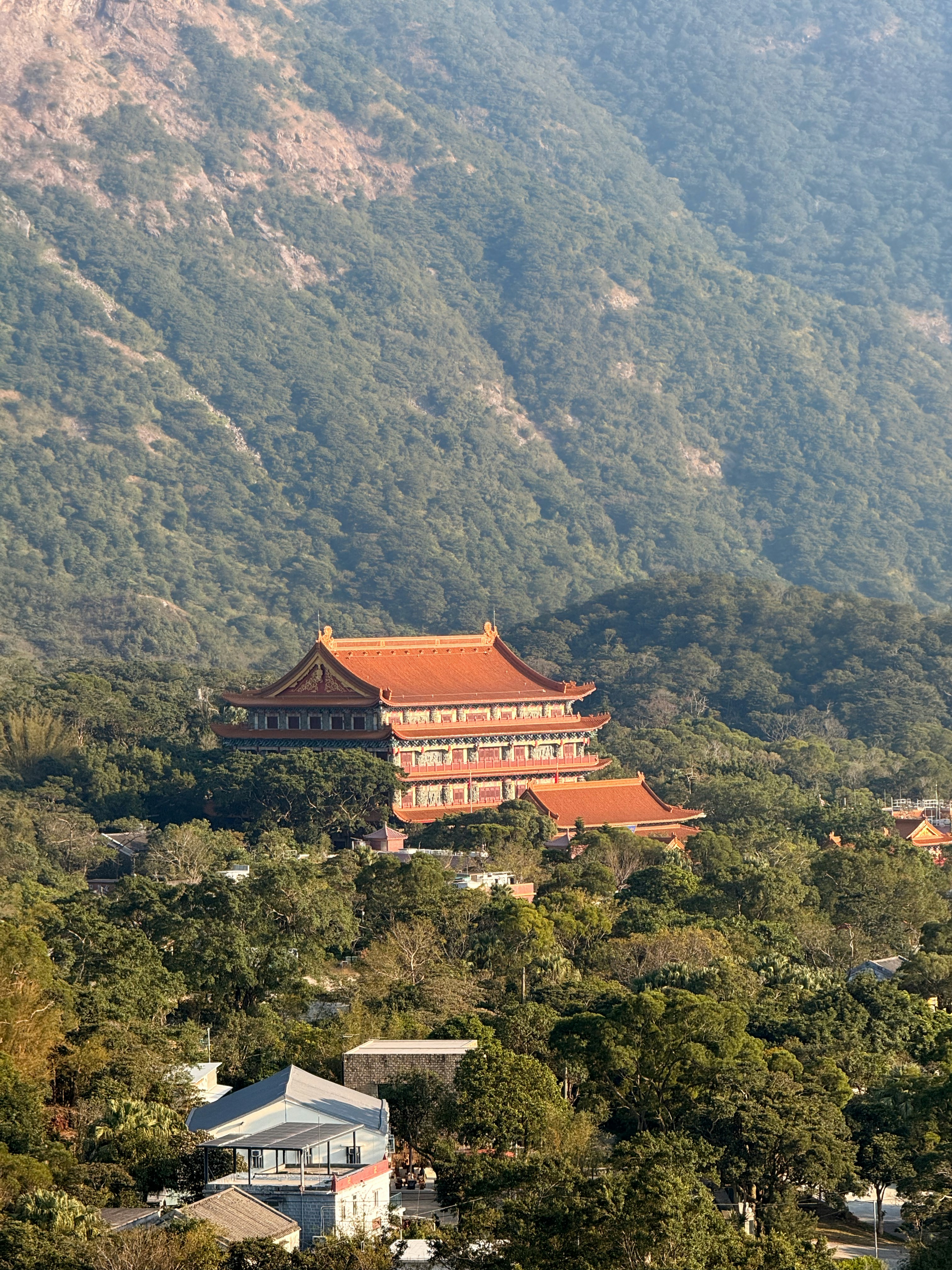 Photo by artemisss666