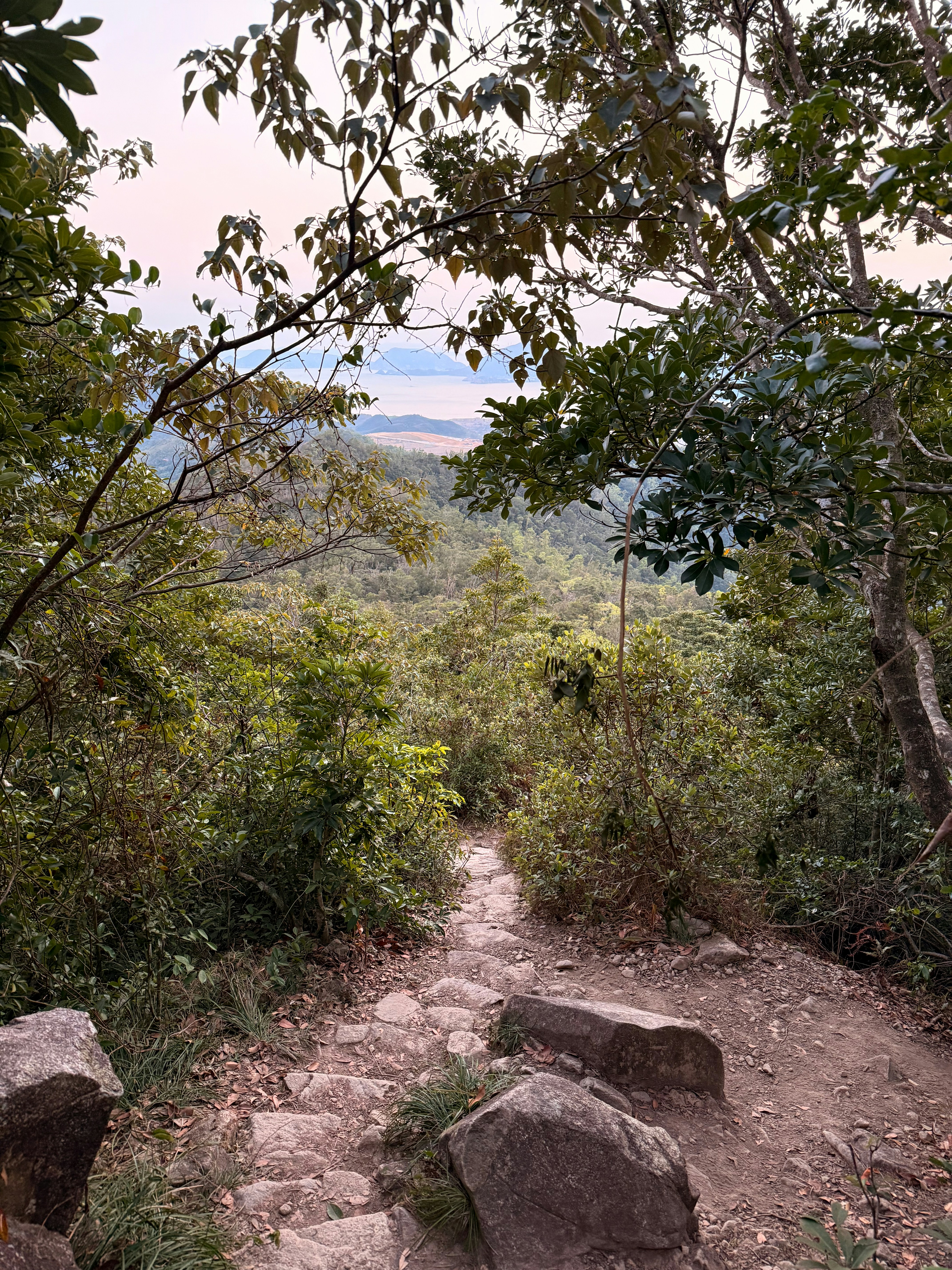 Photo by artemisss666