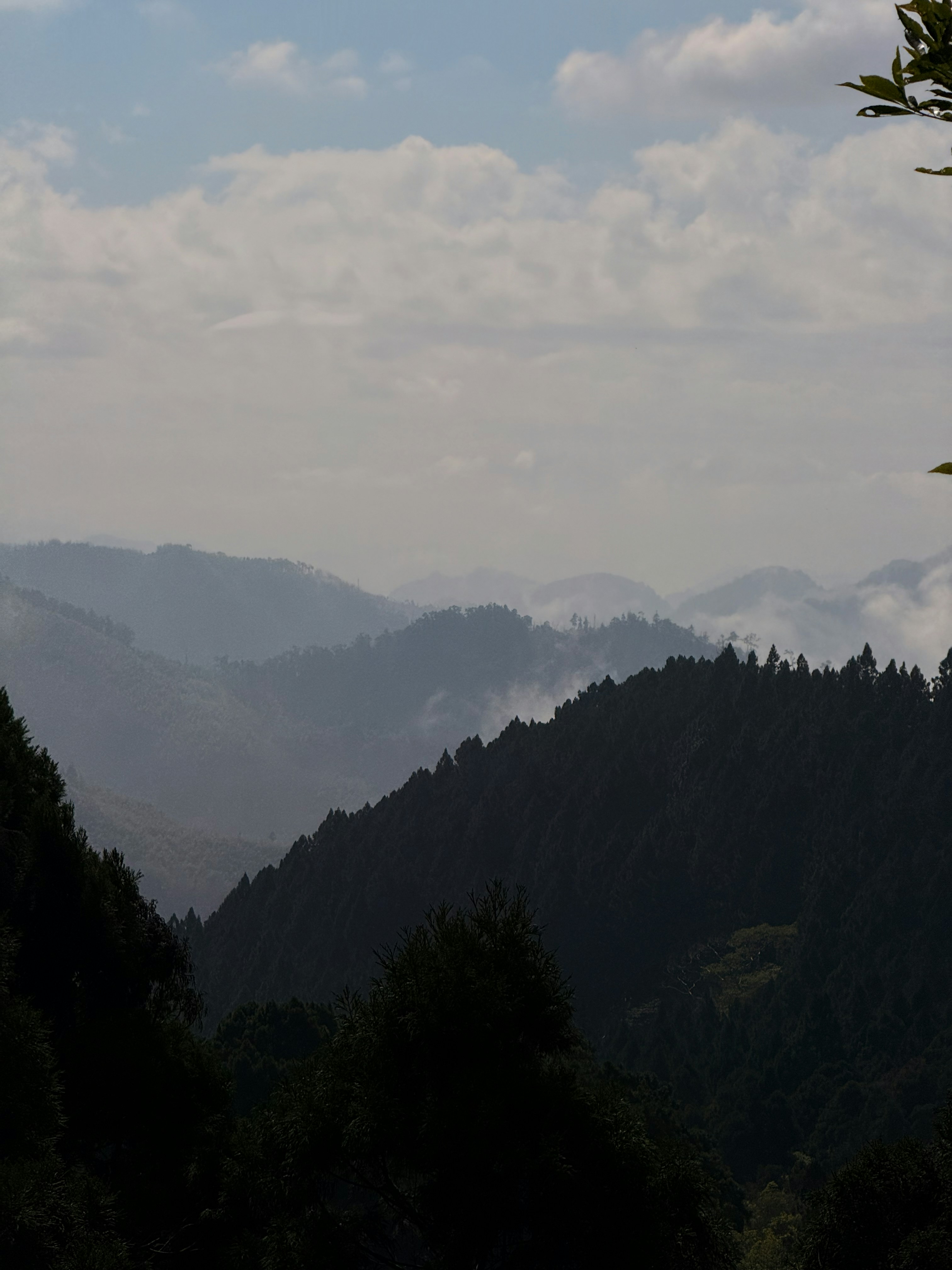 Photo by artemisss666