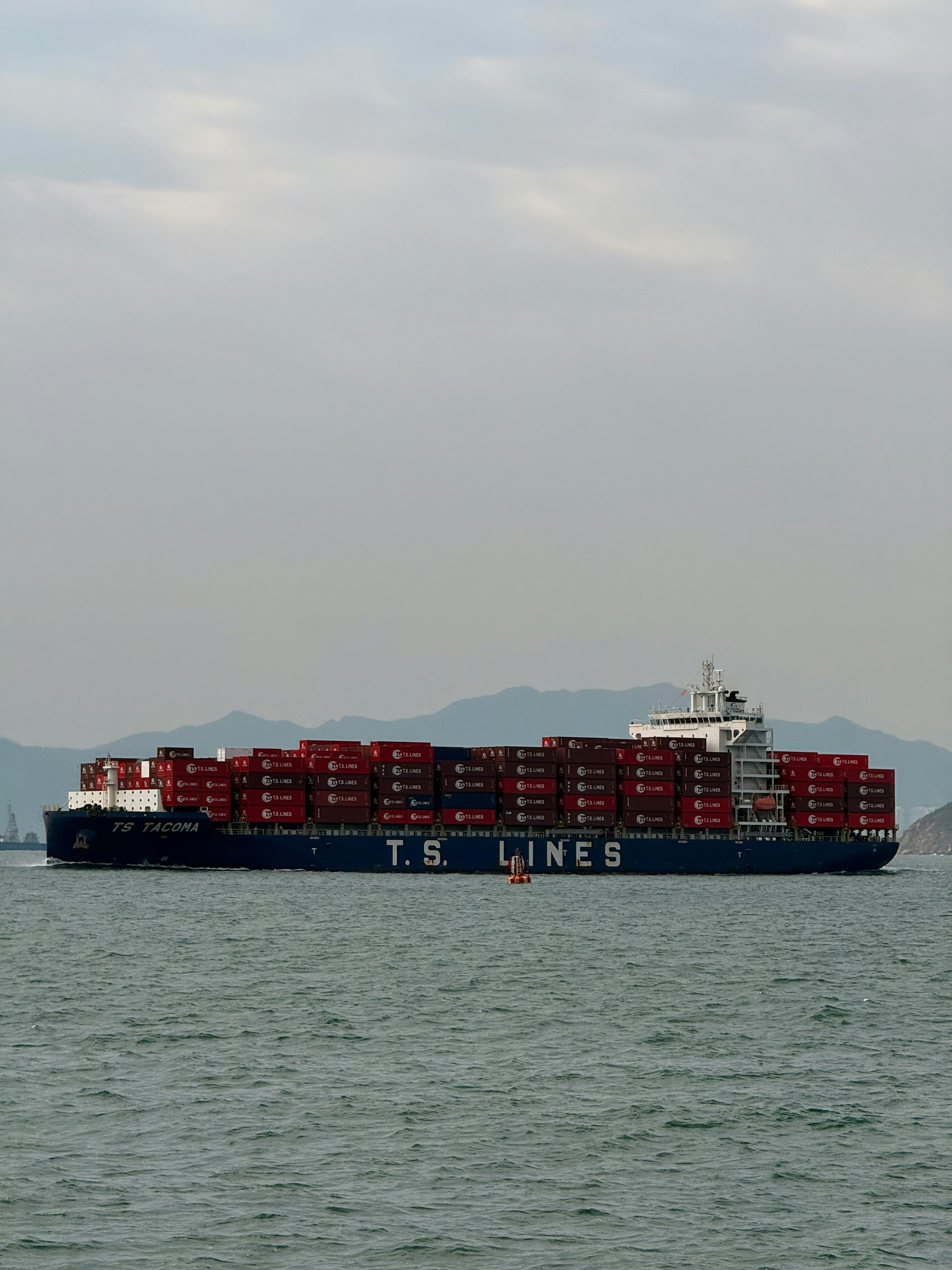 Photo by artemisss666