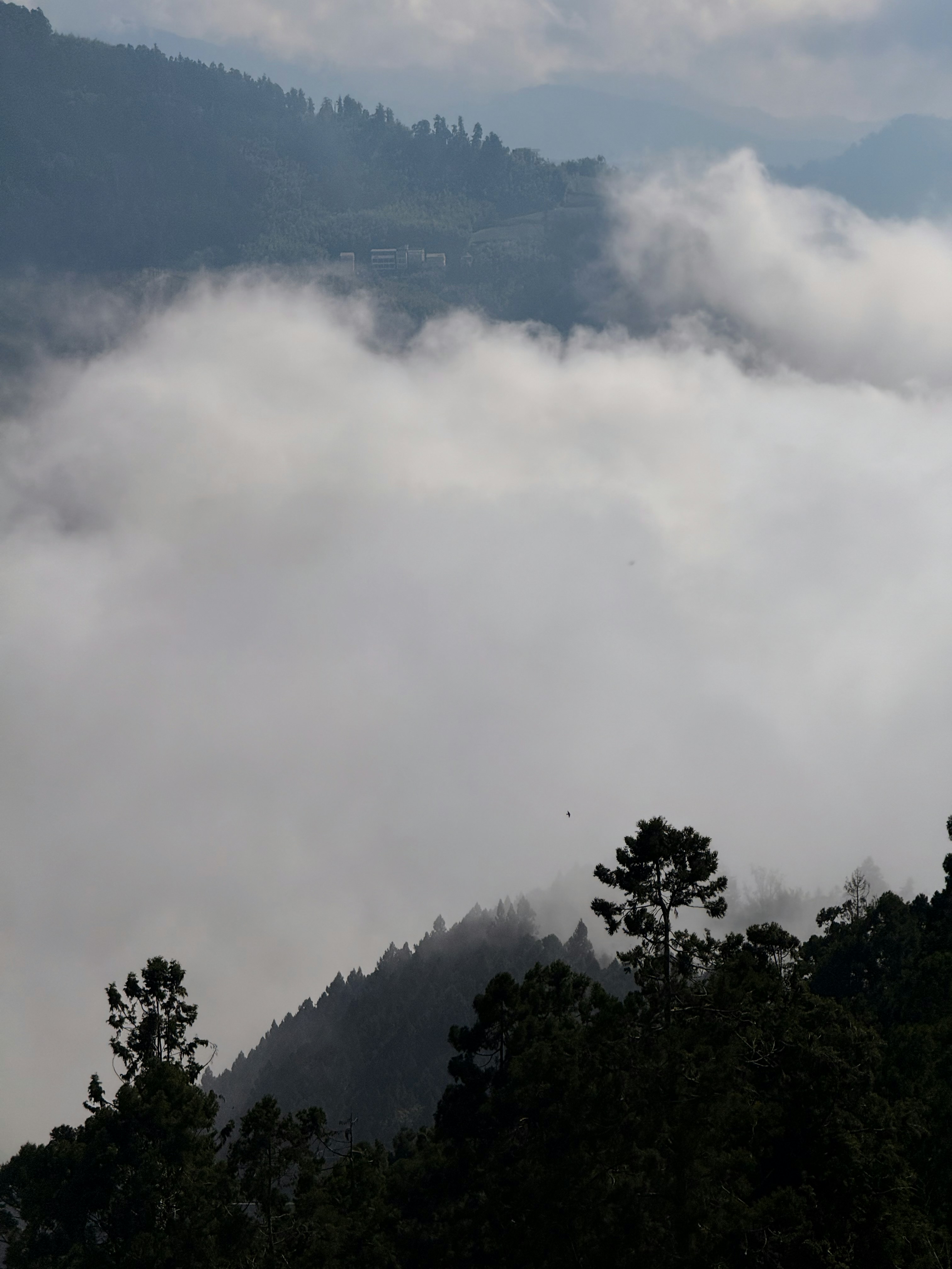 Photo by artemisss666