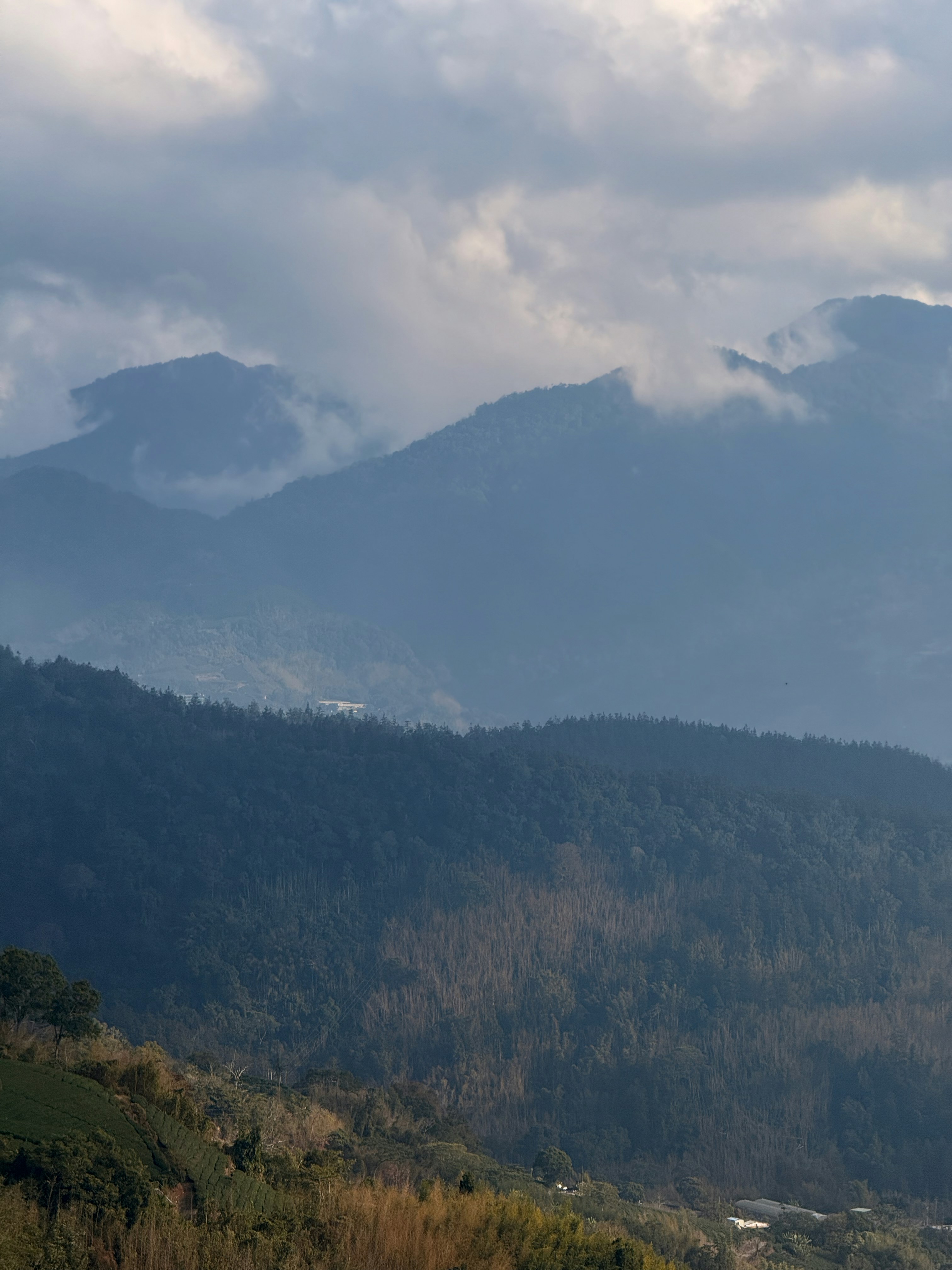 Photo by artemisss666