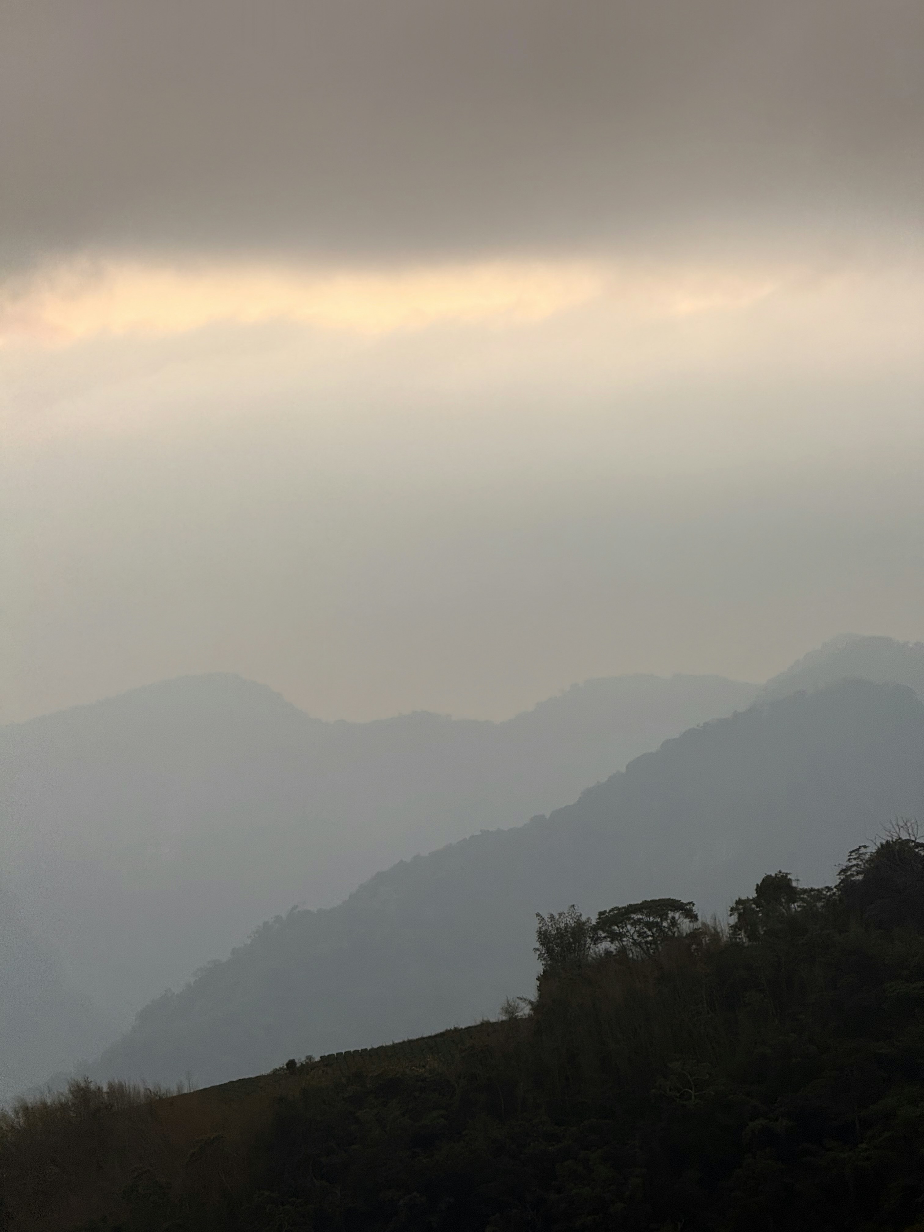 Photo by artemisss666