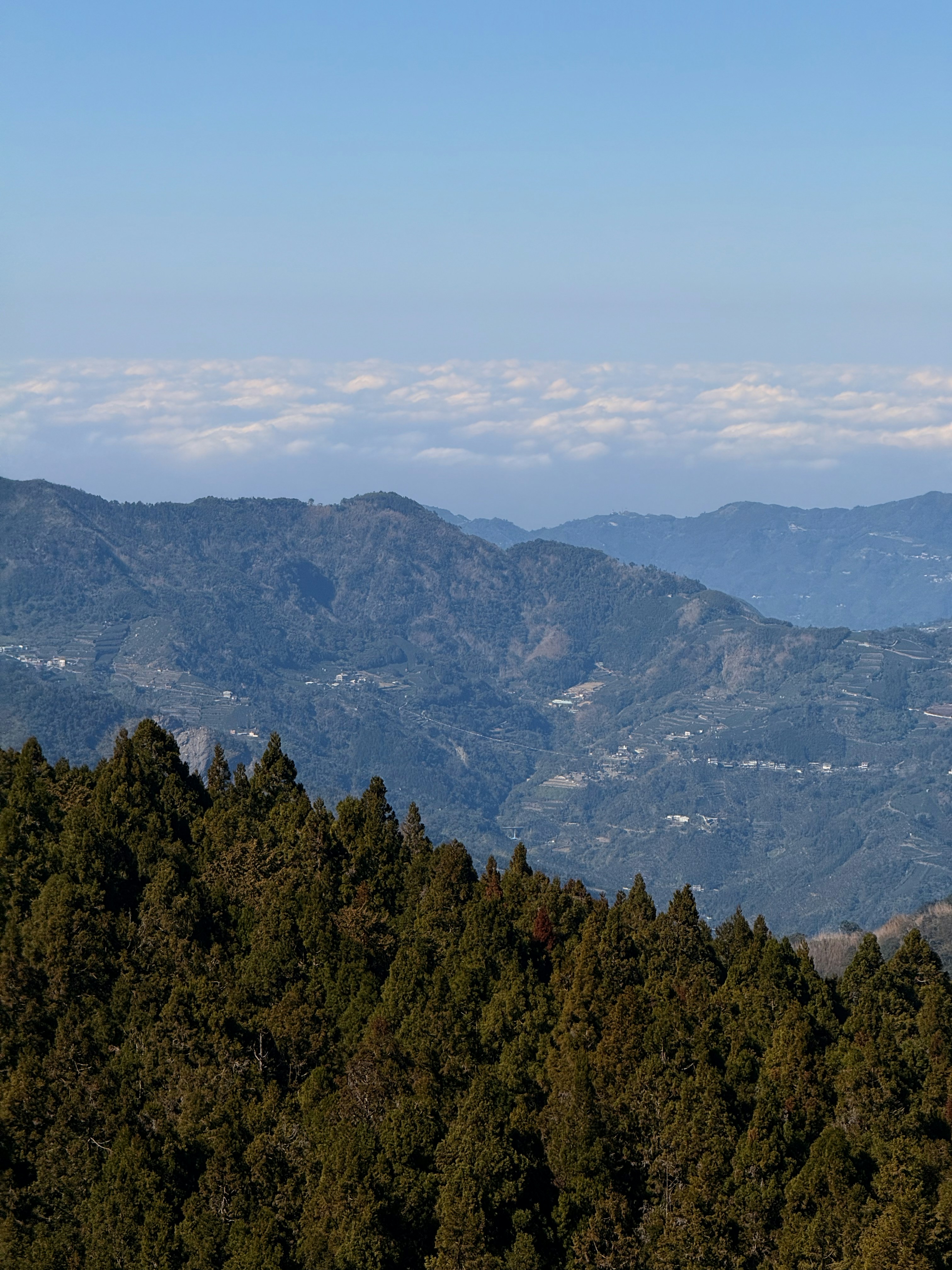 Photo by artemisss666