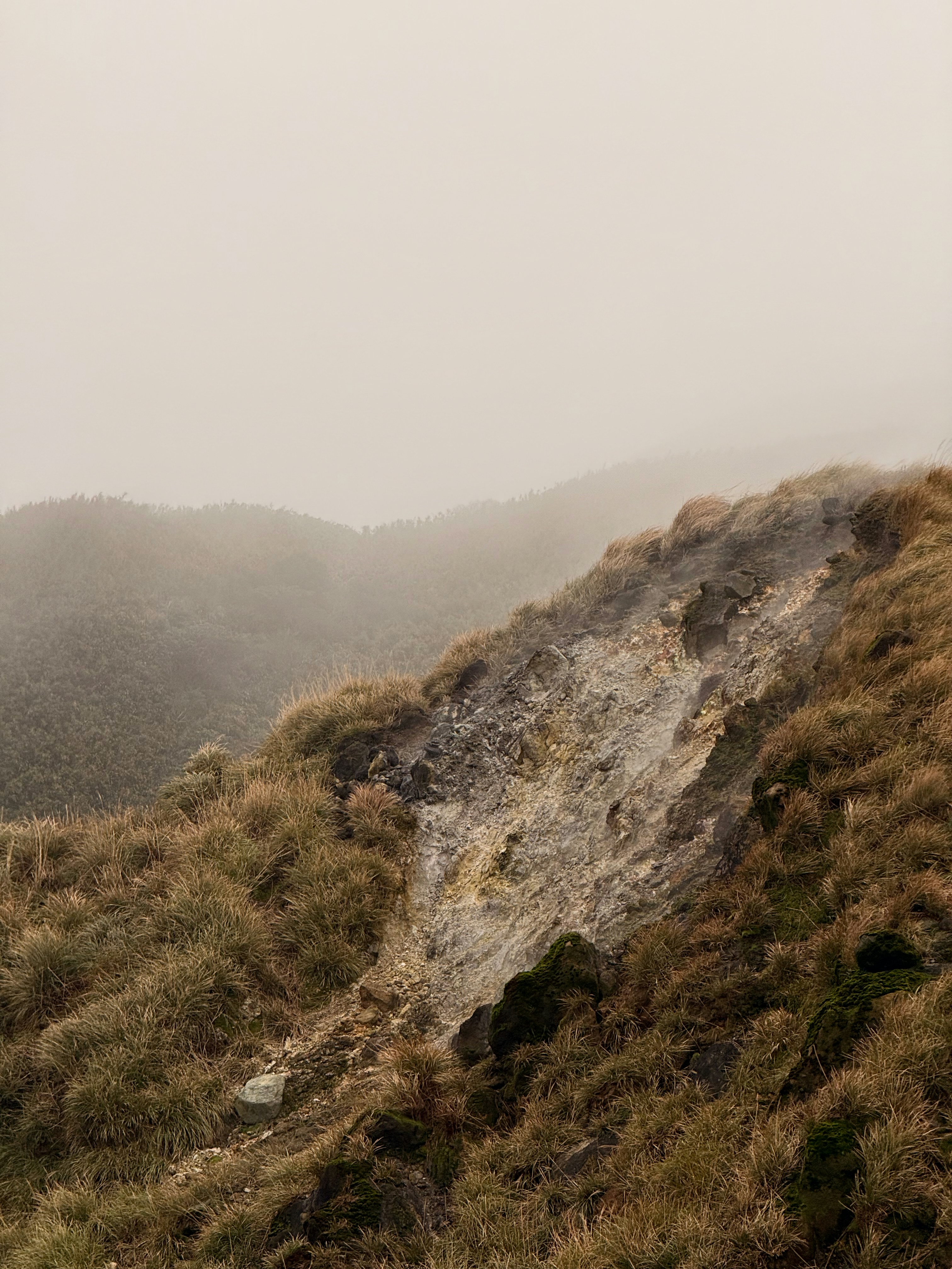 Photo by artemisss666