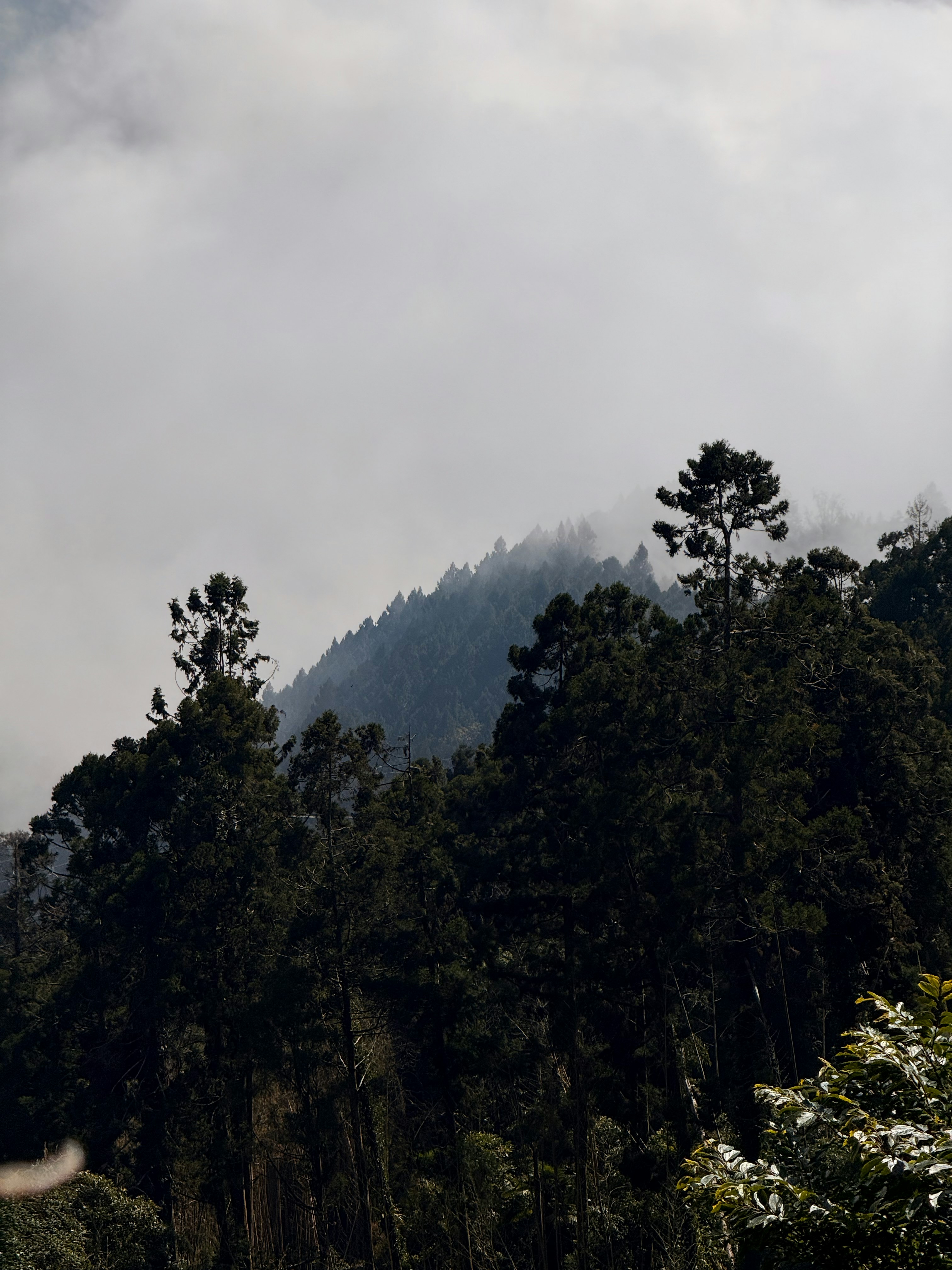 Photo by artemisss666