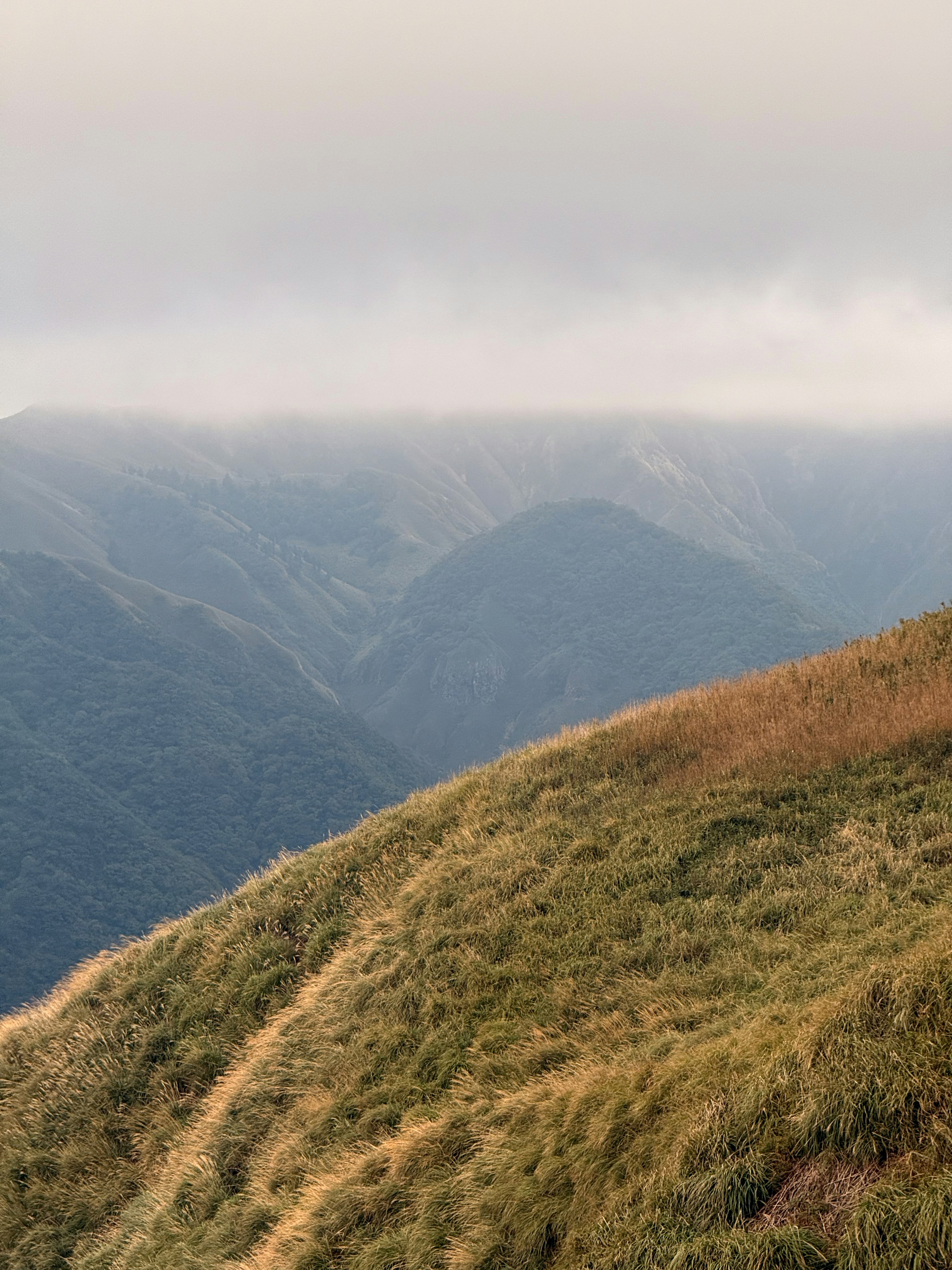 Photo by artemisss666