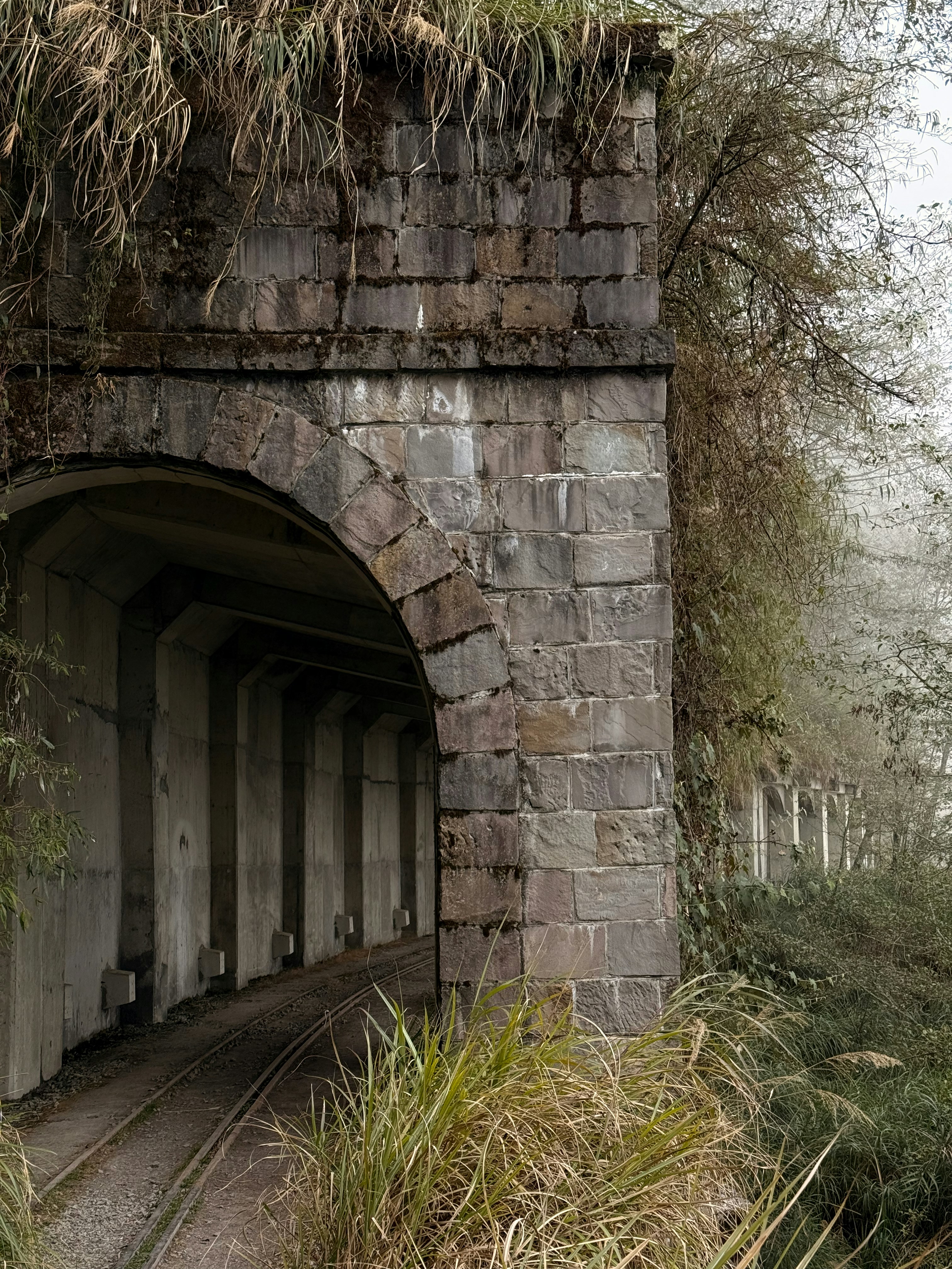 Photo by artemisss666